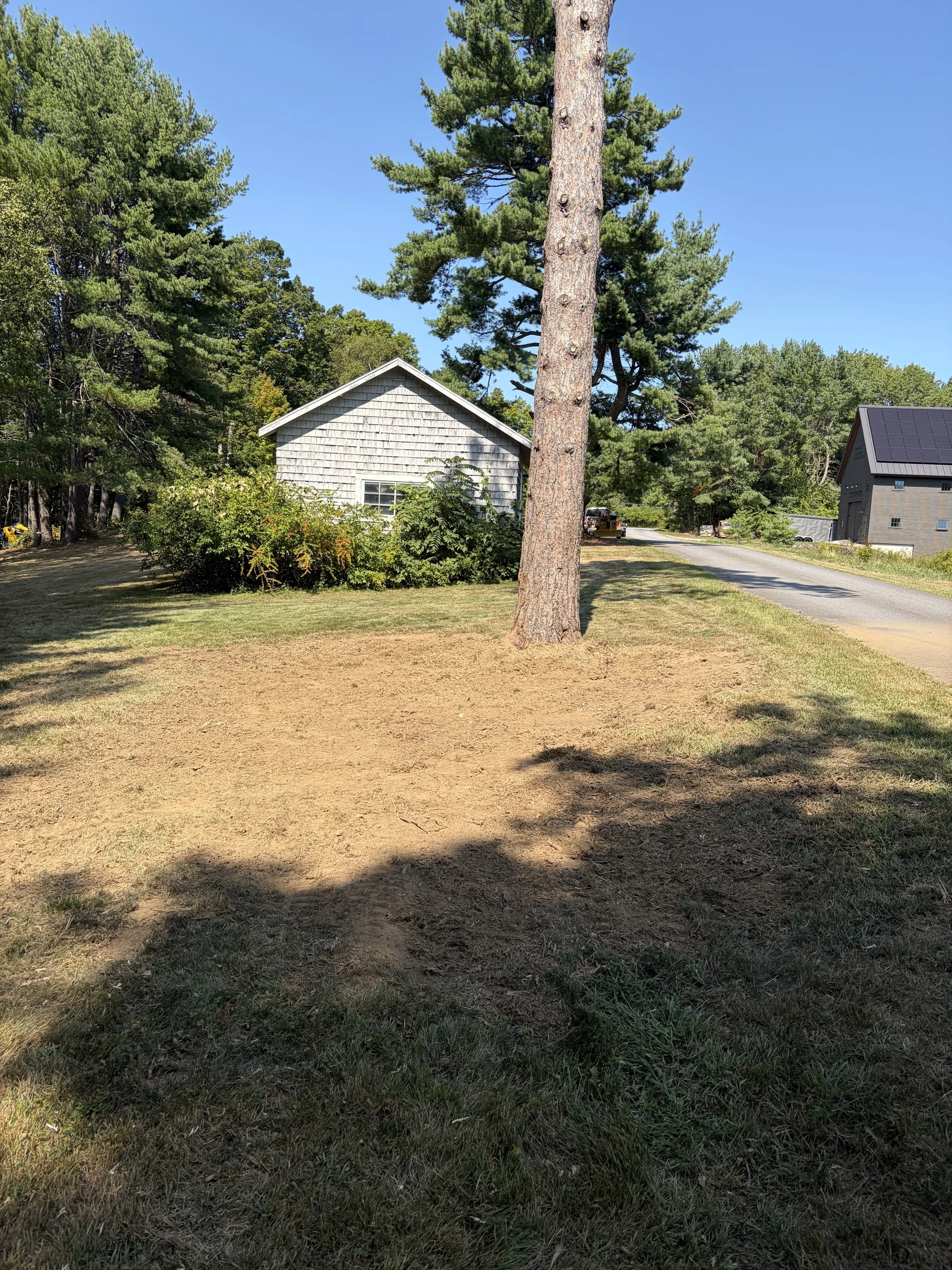 Stump Grinding