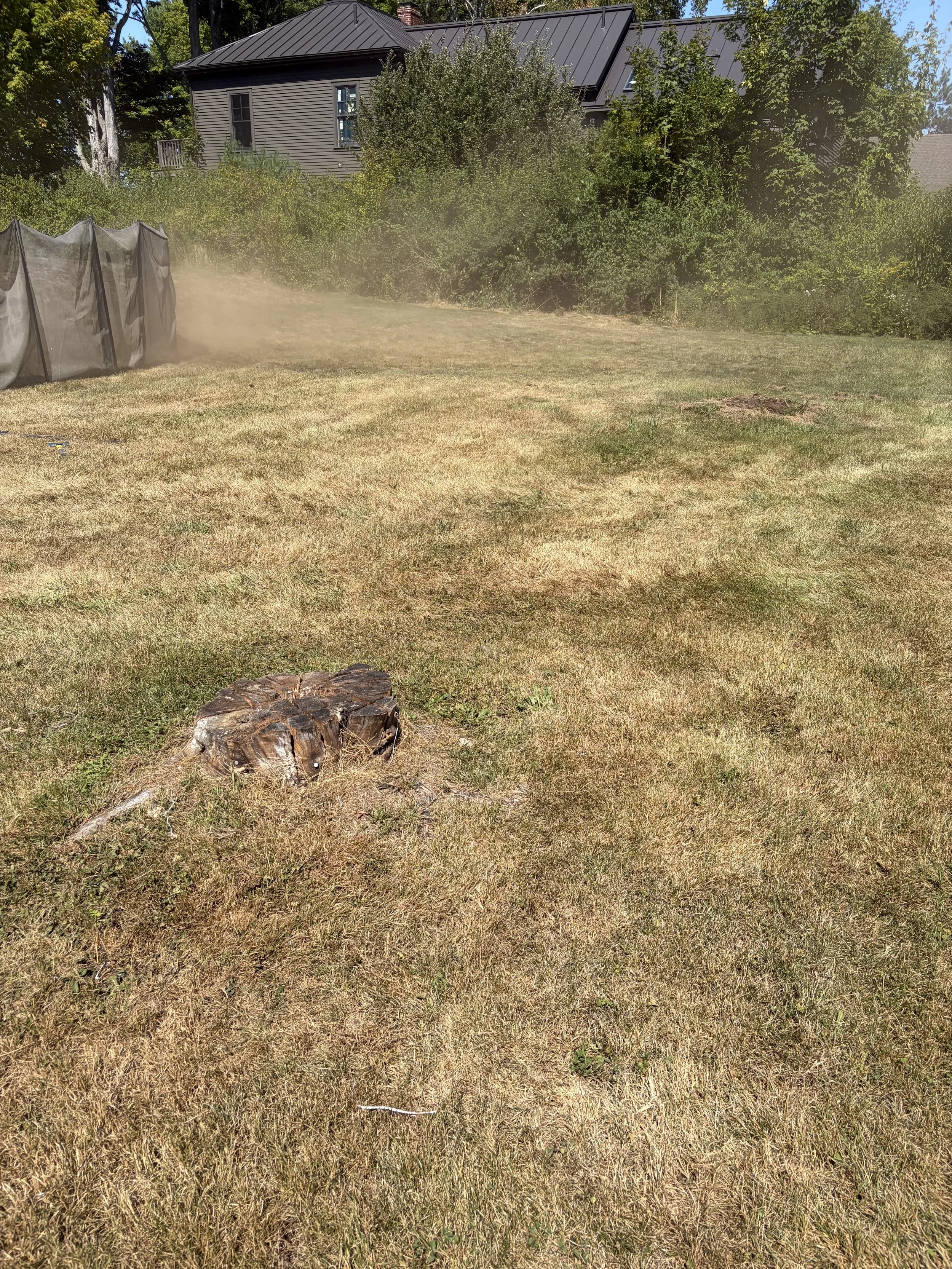 Stump Grinding