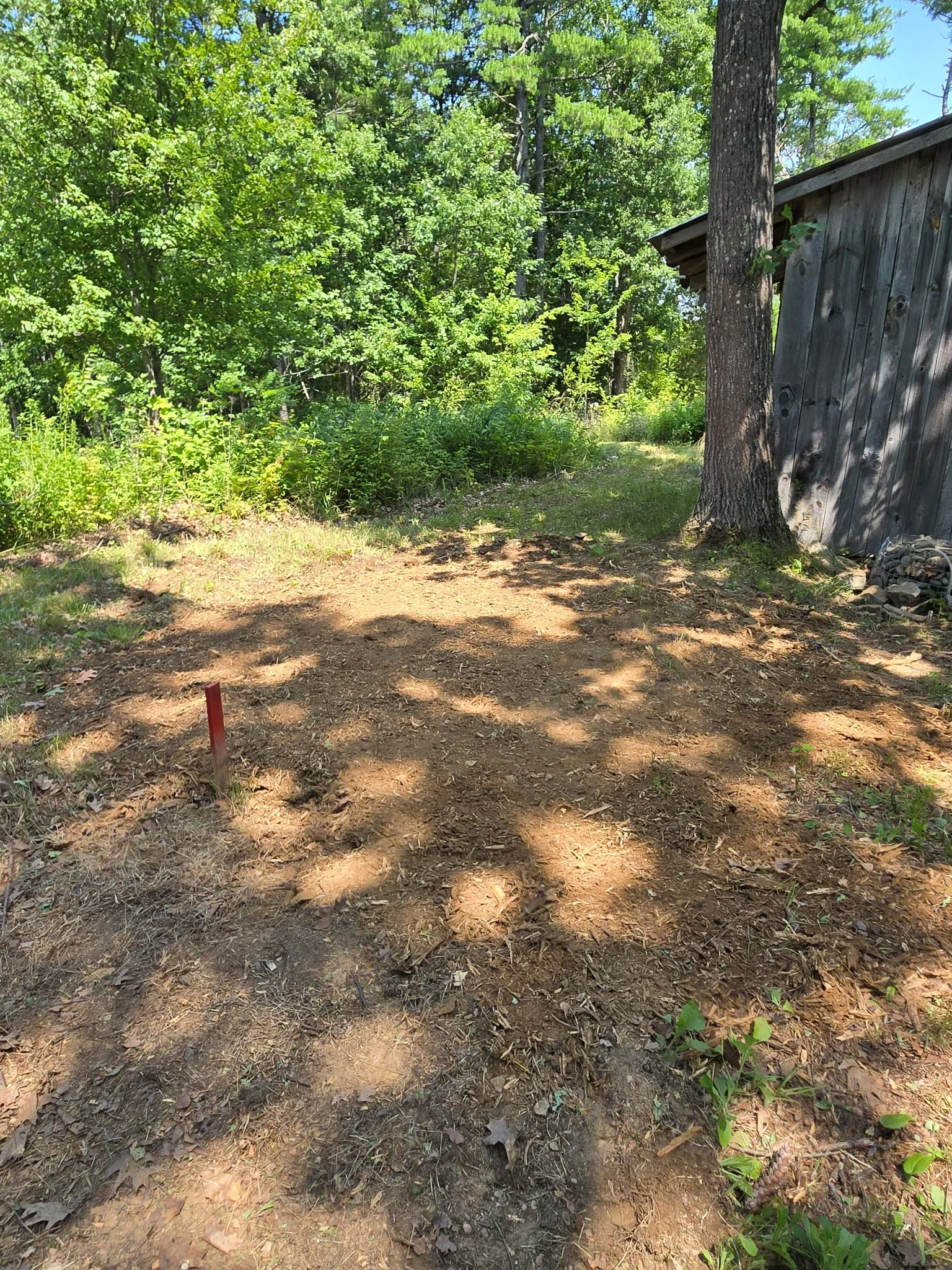 Stump Grinding