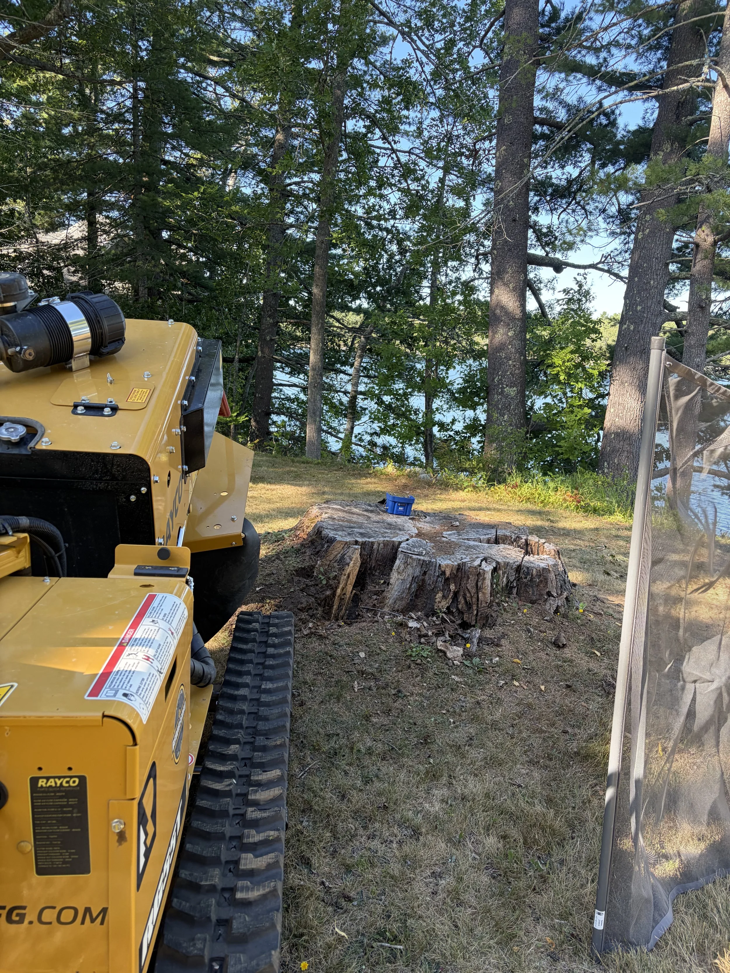 Stump Grinding