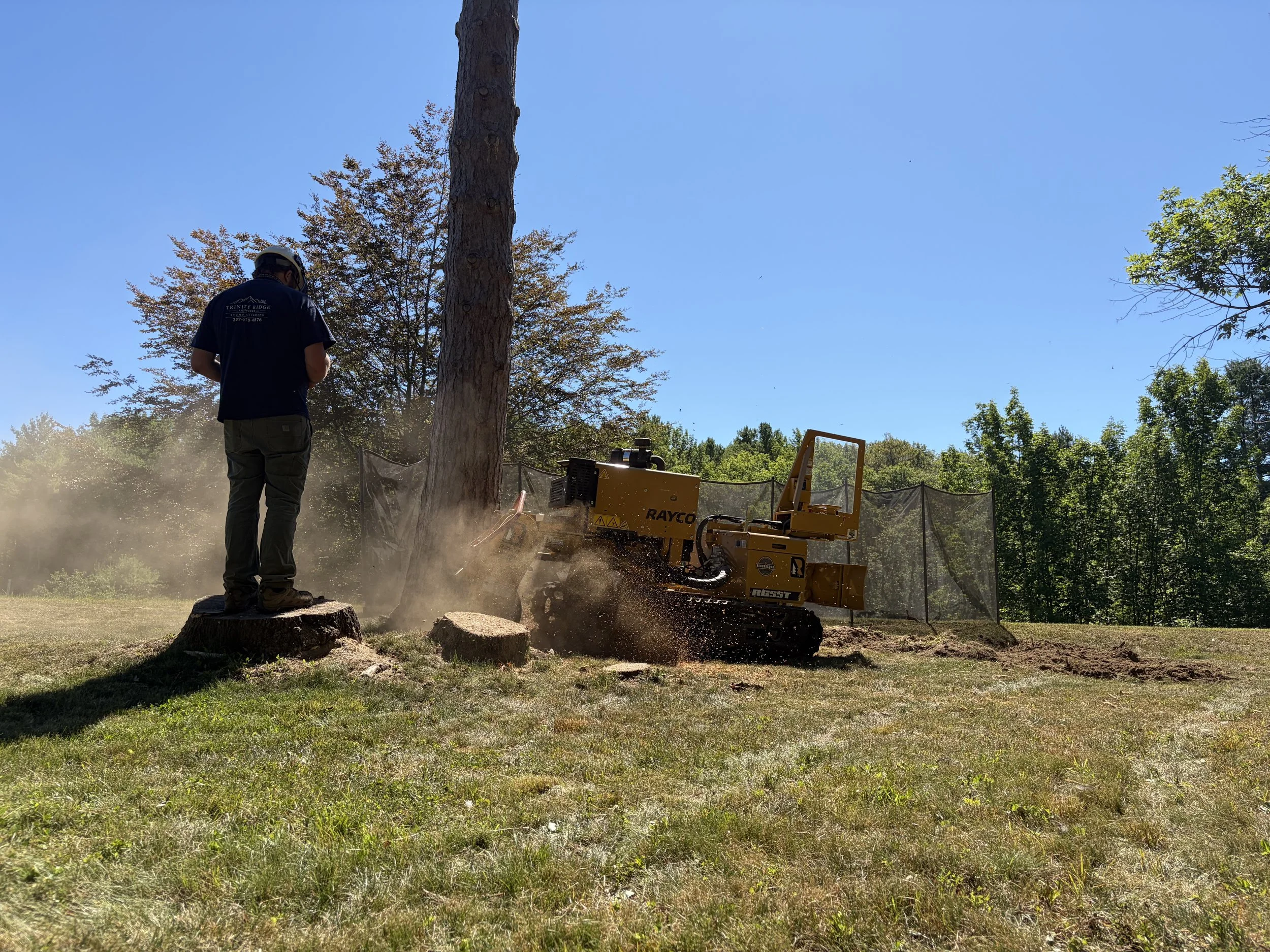 Stump Grinding