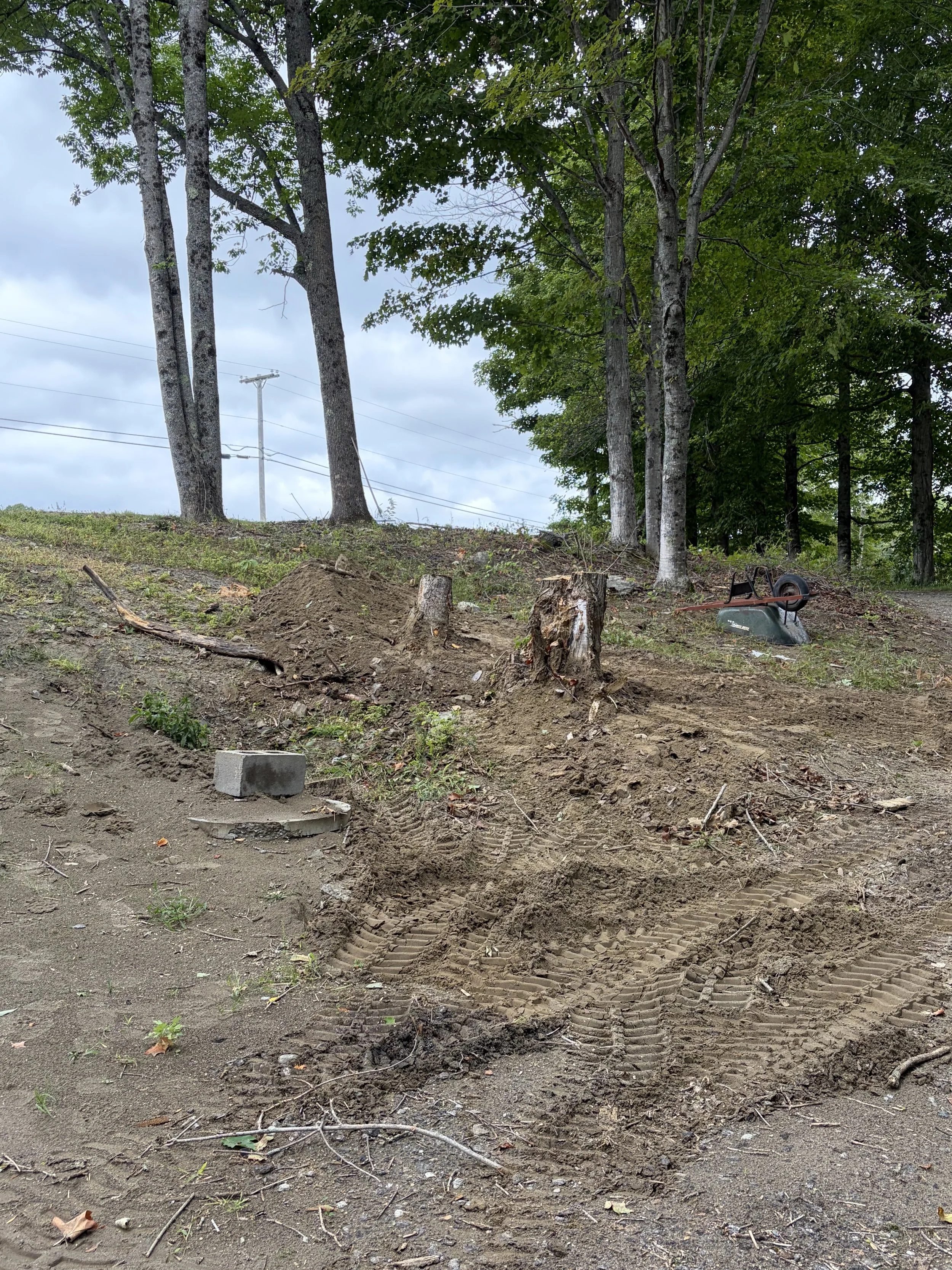 Stump Grinding