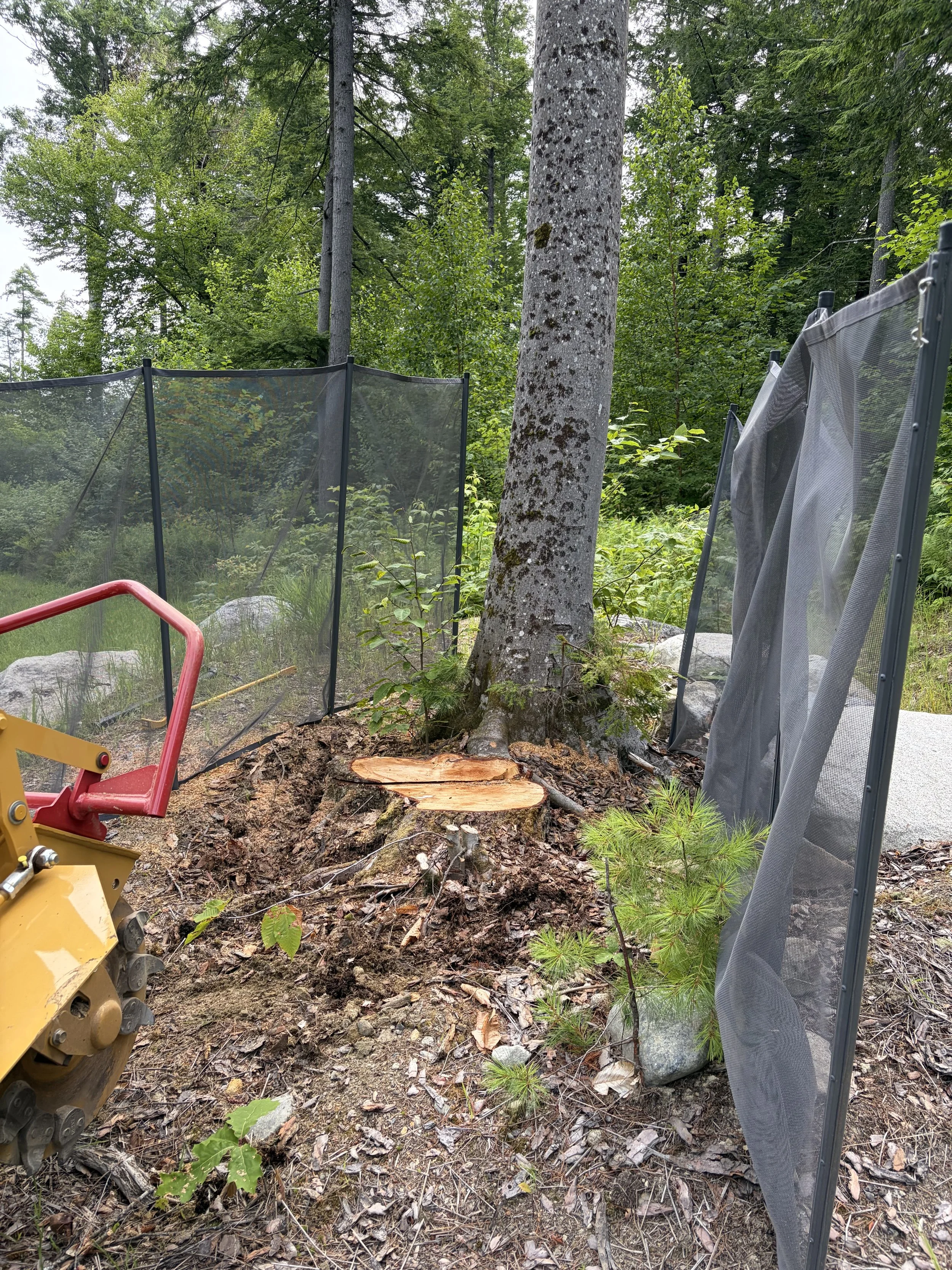 Stump Grinding