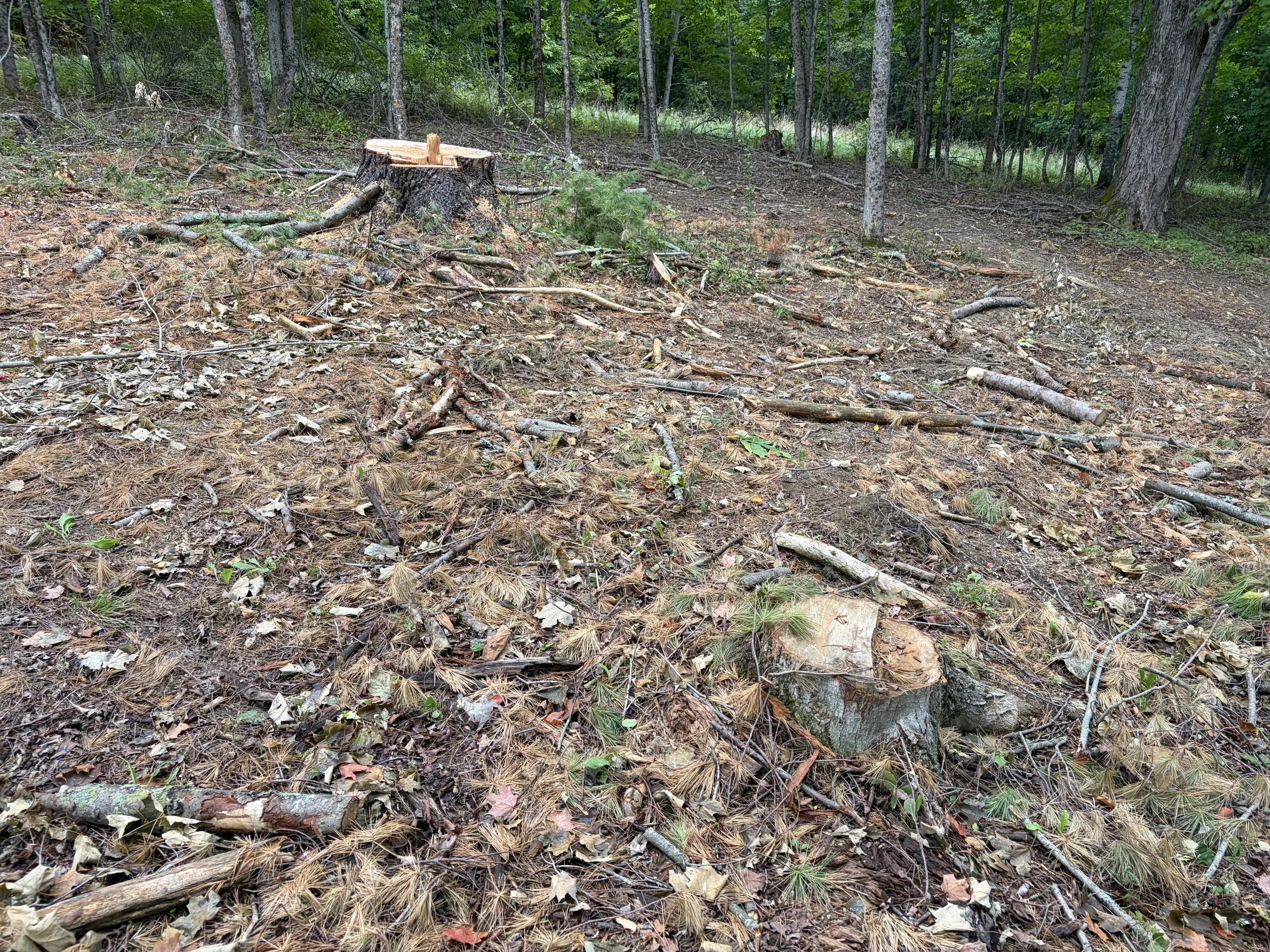 Stump Grinding