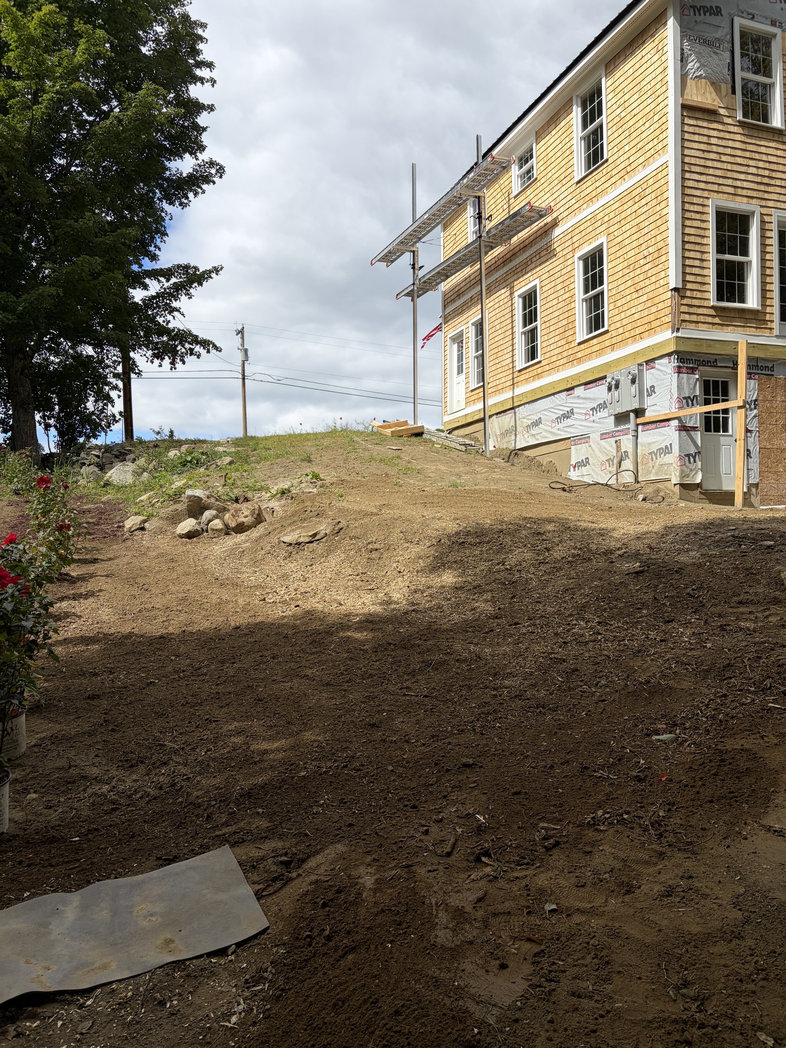 Stump Grinding