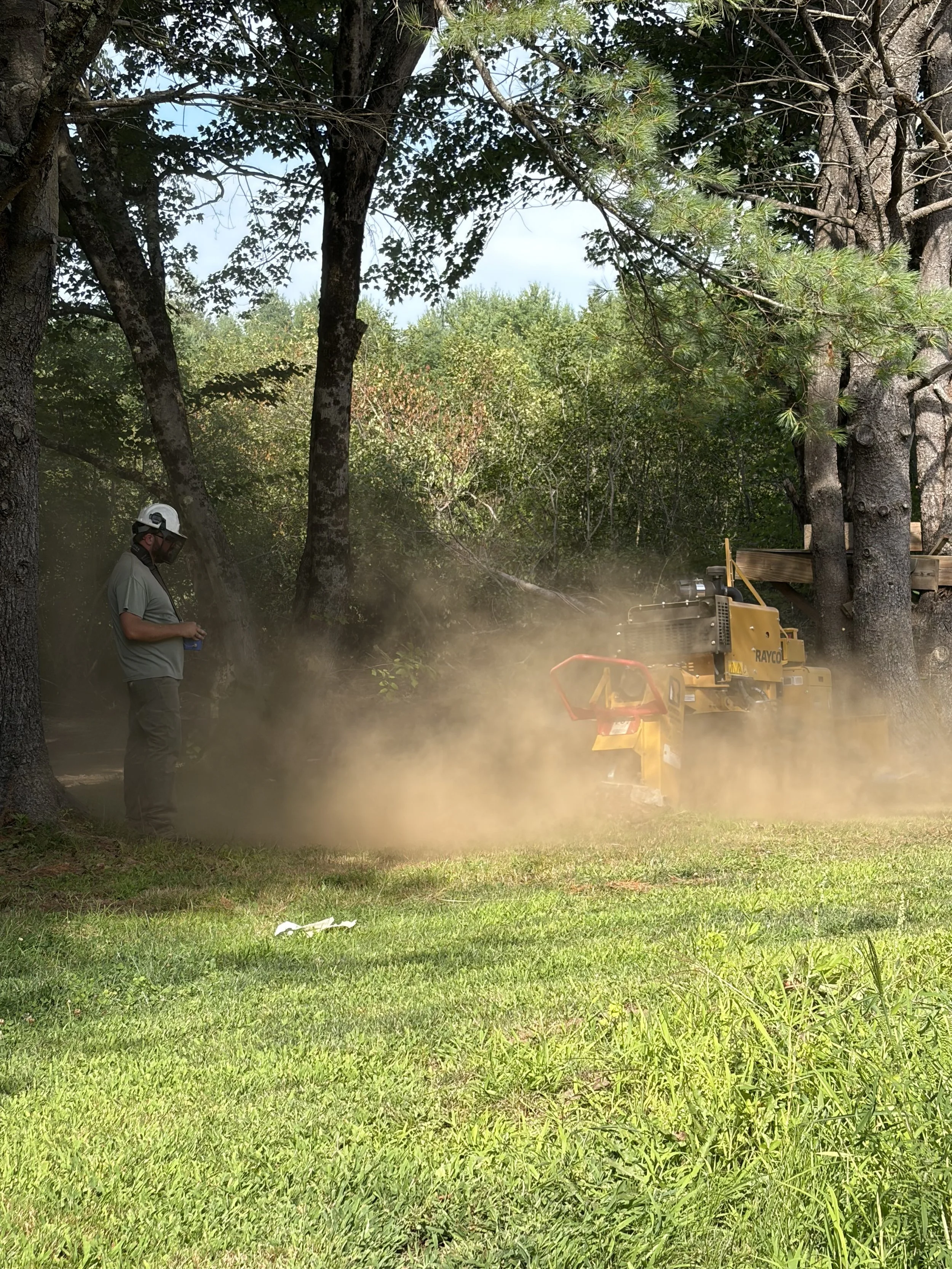 Stump Grinding