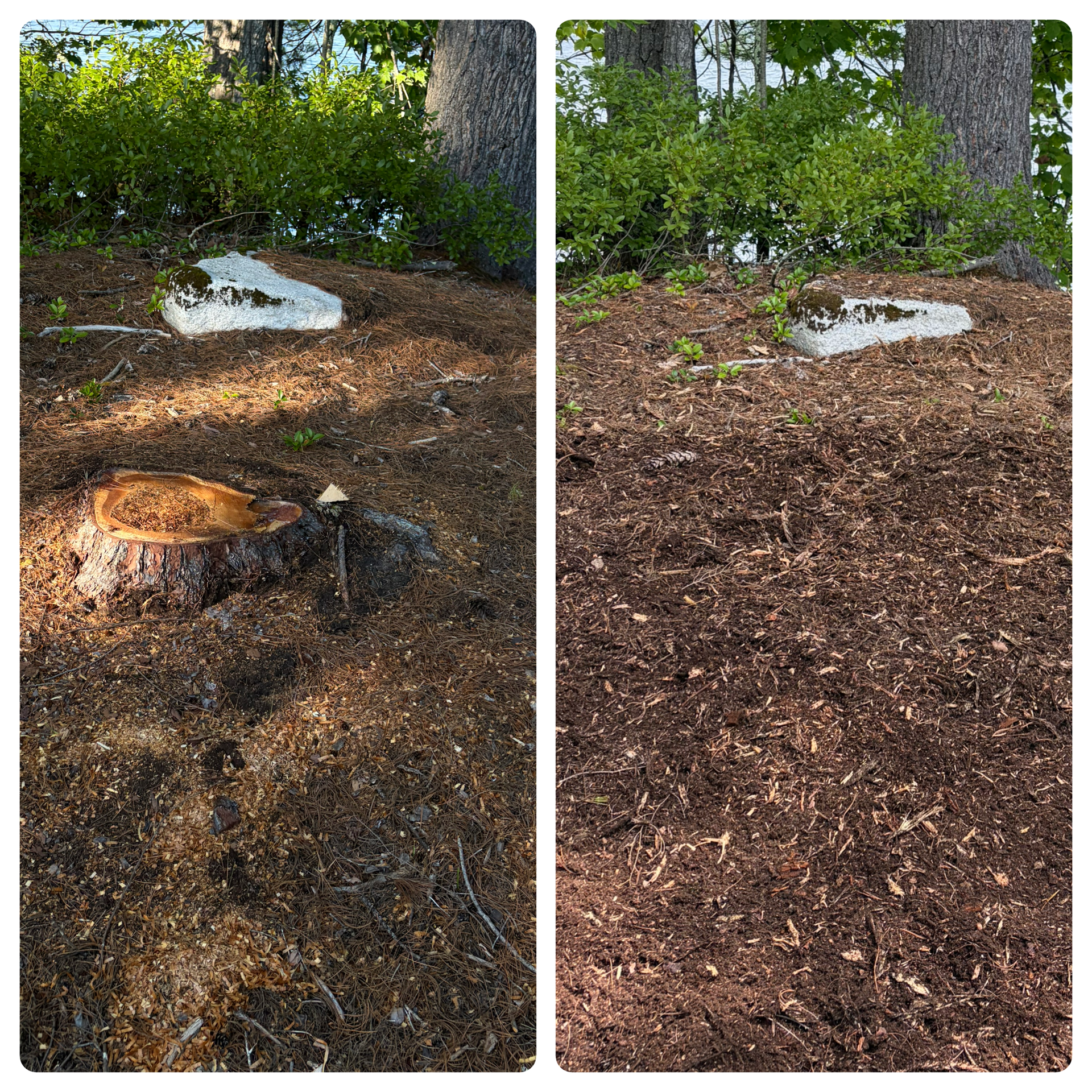 Stump Grinding