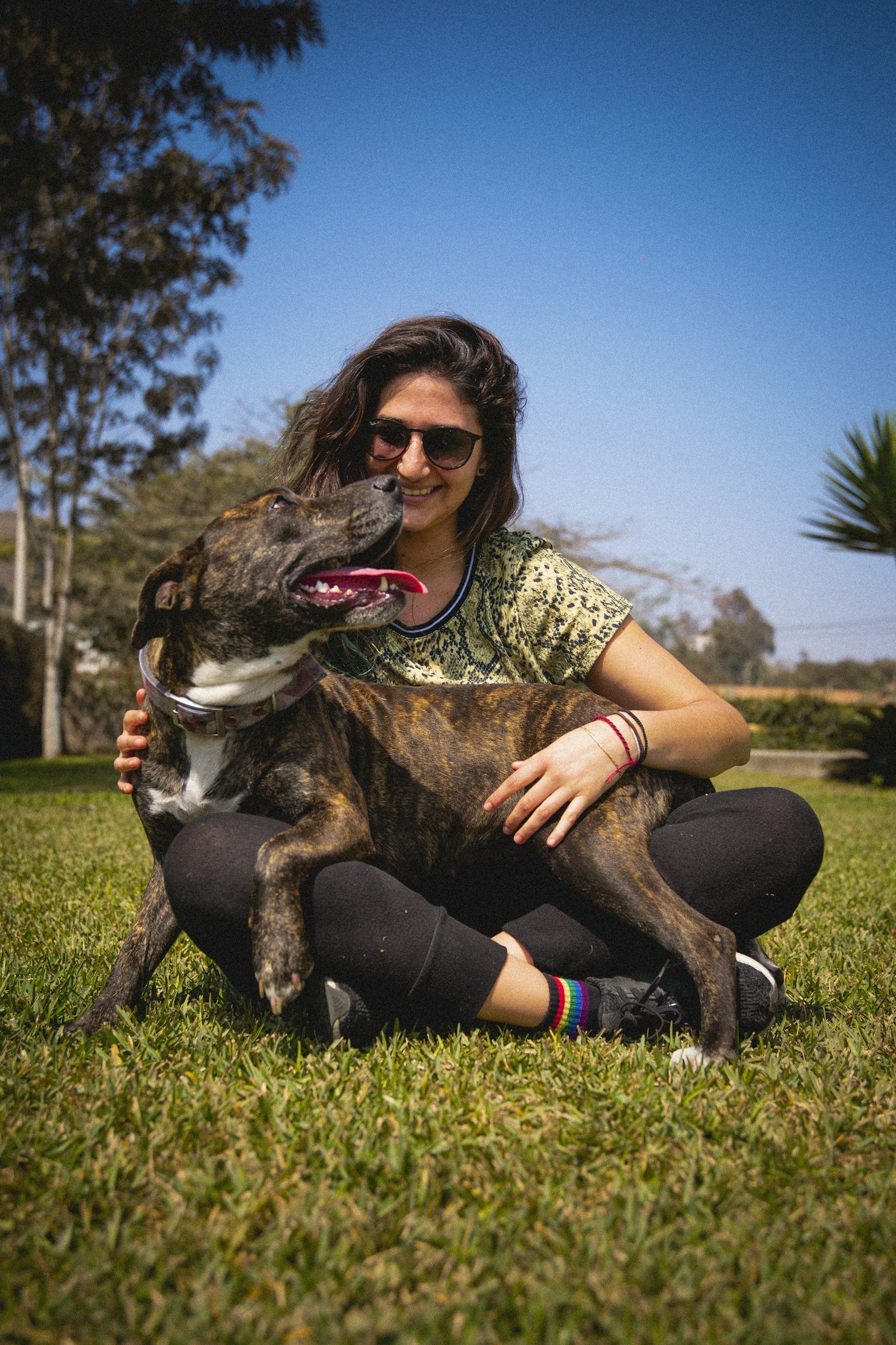 A woman with dark hair, wearing sunglasses, a patterned yellow shirt, black pants, and rainbow-striped socks, sitting on grass with a brindle dog, both smiling on a sunny day with blue sky and trees in the background.
