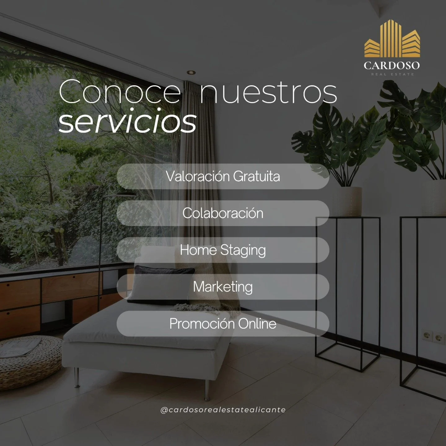 &iexcl;Hola a todos los propietarios de Alicante! 🏡✨

&iquest;Est&aacute;s pensando en vender tu propiedad y quieres hacerlo de la forma m&aacute;s r&aacute;pida y al mejor precio? &iexcl;Tenemos la soluci&oacute;n perfecta para ti! 💼💰

En nuestra