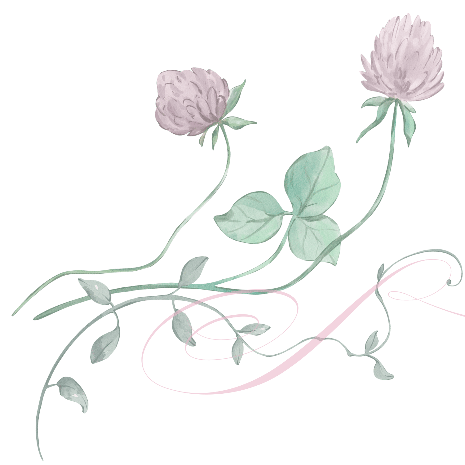 Watercolor illustration of purple flowers with green leaves and pink swirling lines on a green background.