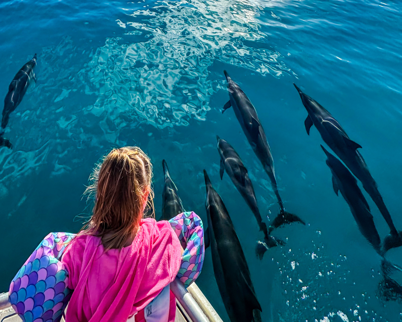 A young girl with blonde hair wearing a pink shirt and a pink towel, sitting on a boat and watching a pod of dolphins swimming in the ocean.