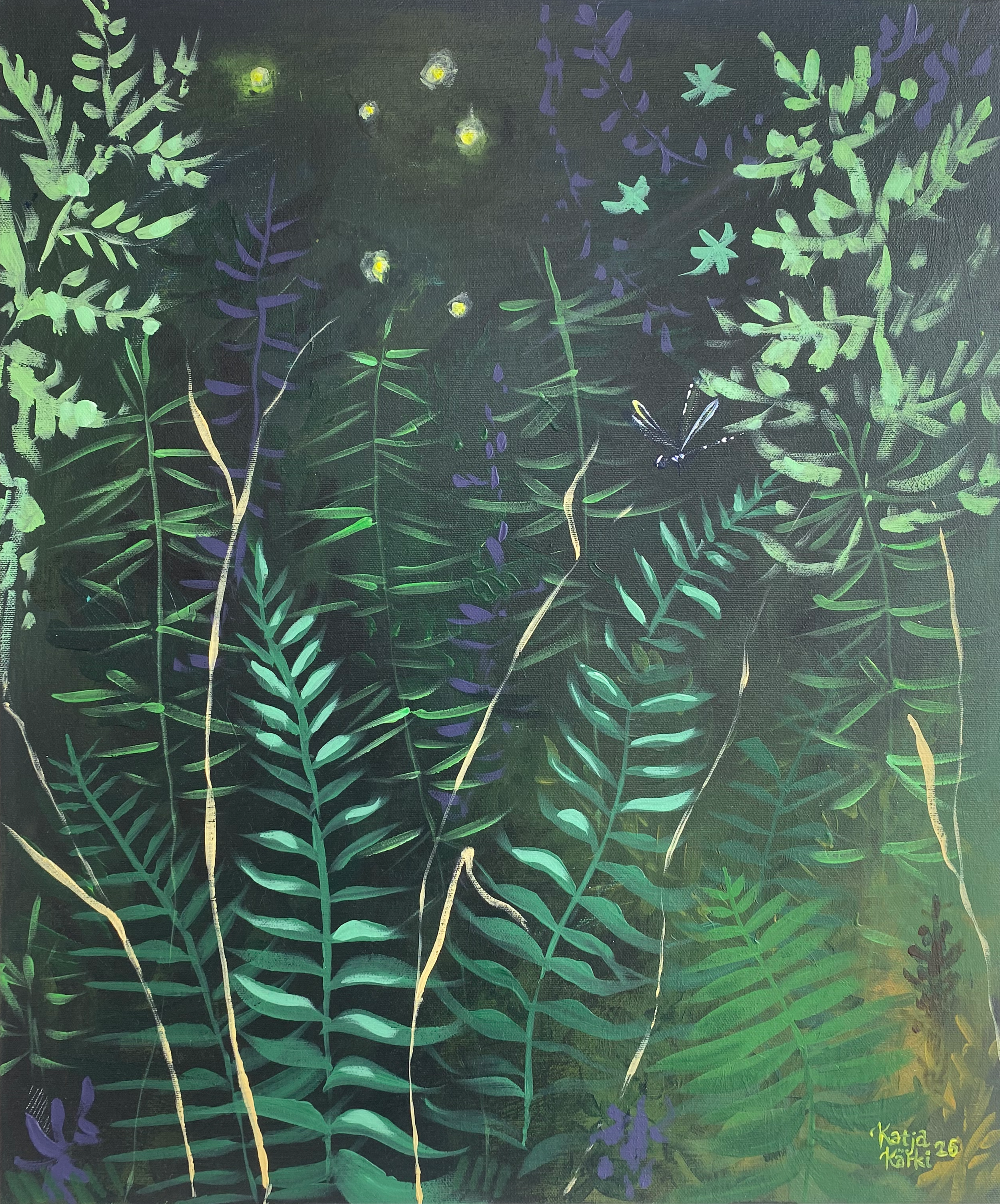 ferns: tausta poistettu.png