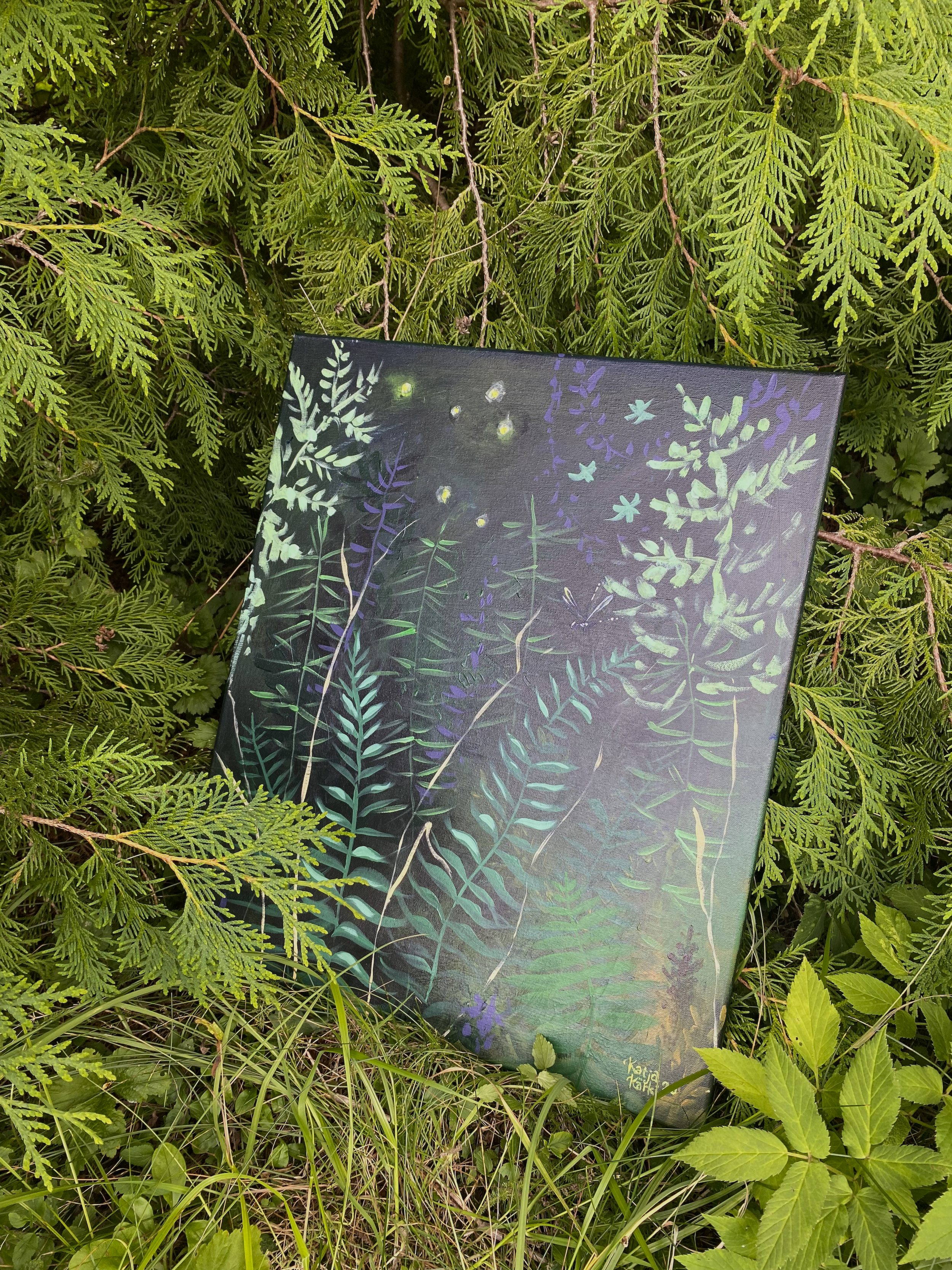 ferns3.png