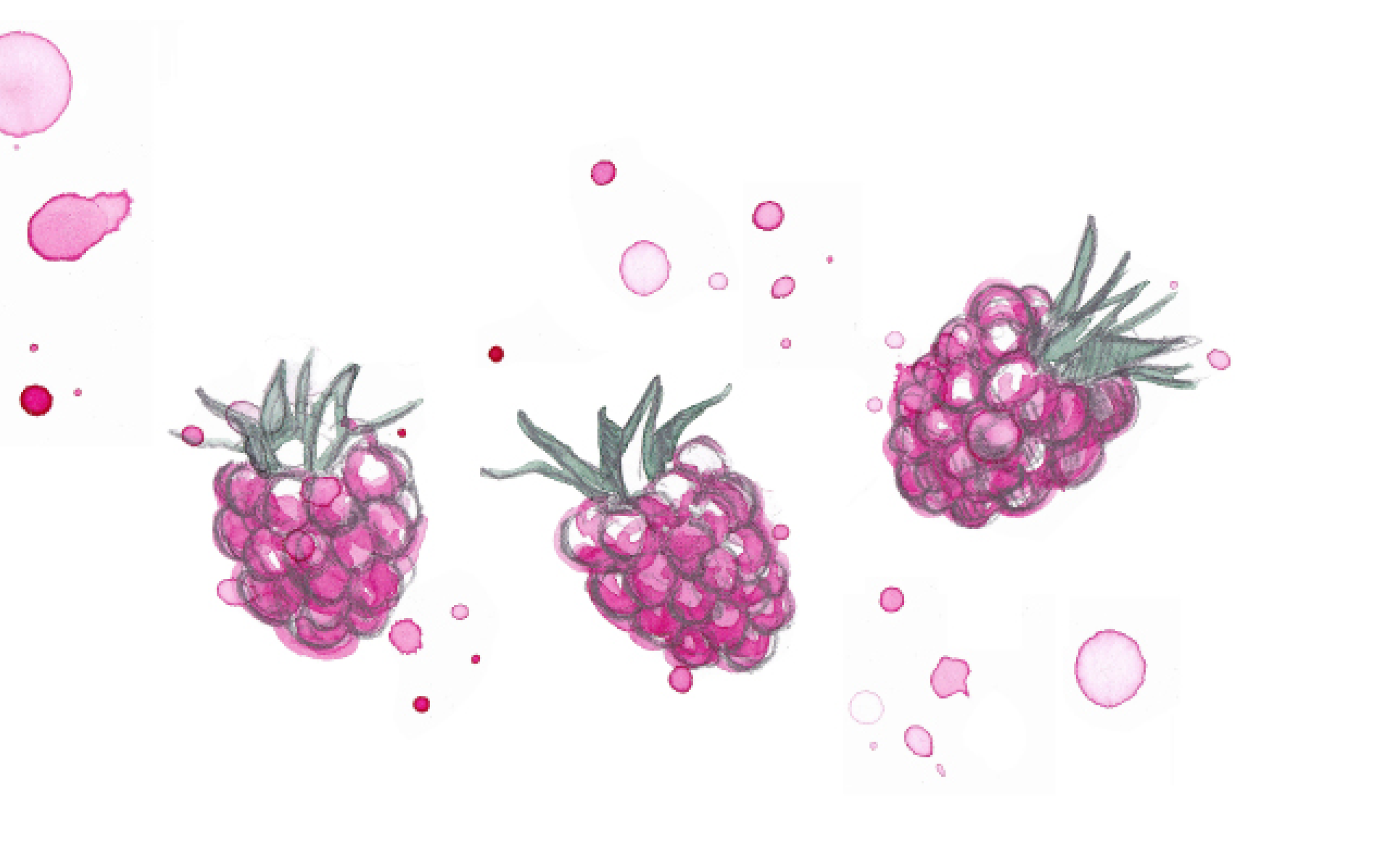 Watercolor illustration of three pink raspberries with green leaves and pink paint splatters on a white background.
