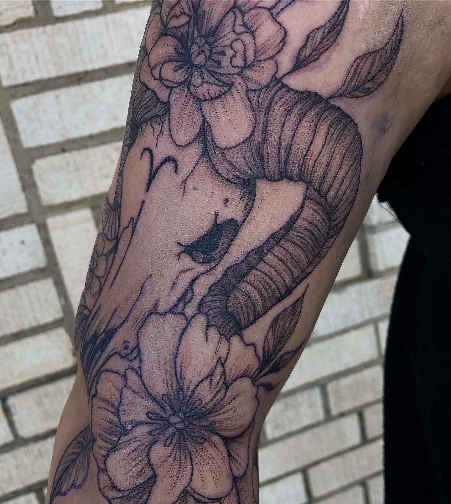 Taurus Ram Skull with florals, fineline and illustrative 