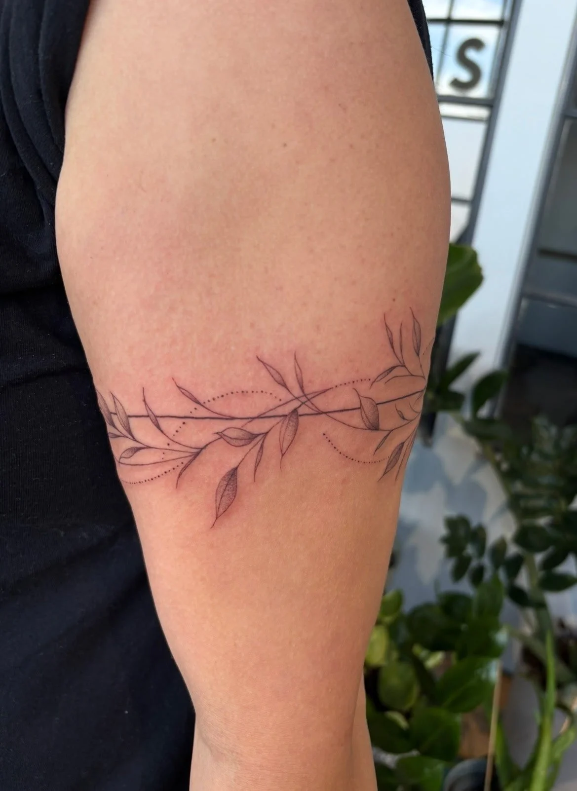 A close-up of a person's upper arm with a delicate black tattoo of a leafy vine. The tattoo features thin, flowing lines with subtle shading on the leaves and small dotted accents. The background includes some greenery and indoor decor.