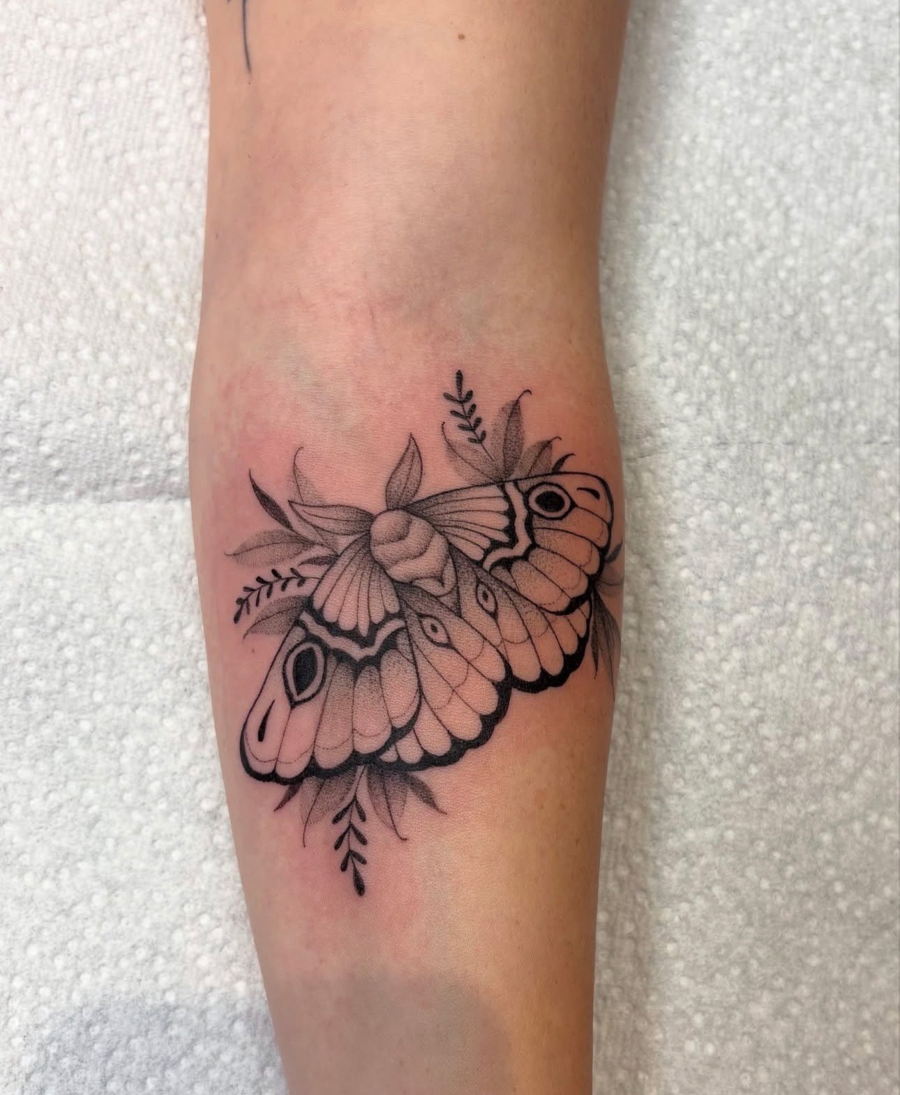 Black and gray ink tattoo of a butterfly with detailed wings, surrounded by leaves, on a person's forearm.