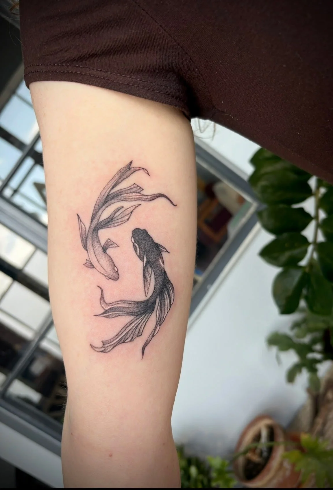 Tattoo of two koi fish swimming in a circle on a person's forearm.