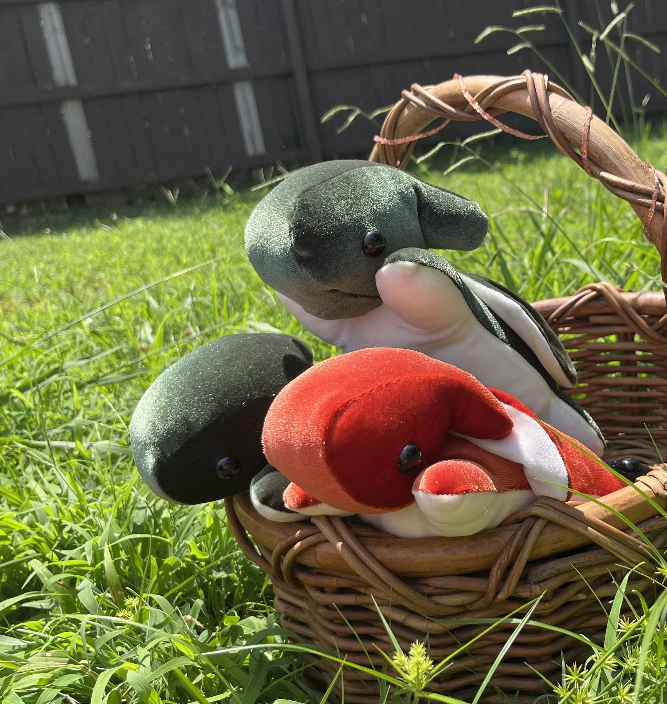 Close-up of a three adorable toy stuffed animal dragons with black shiny eyes, sitting in a woven wicker basket outdoors on grass, with a brown fence in the background. The dragon plushies are green and red.