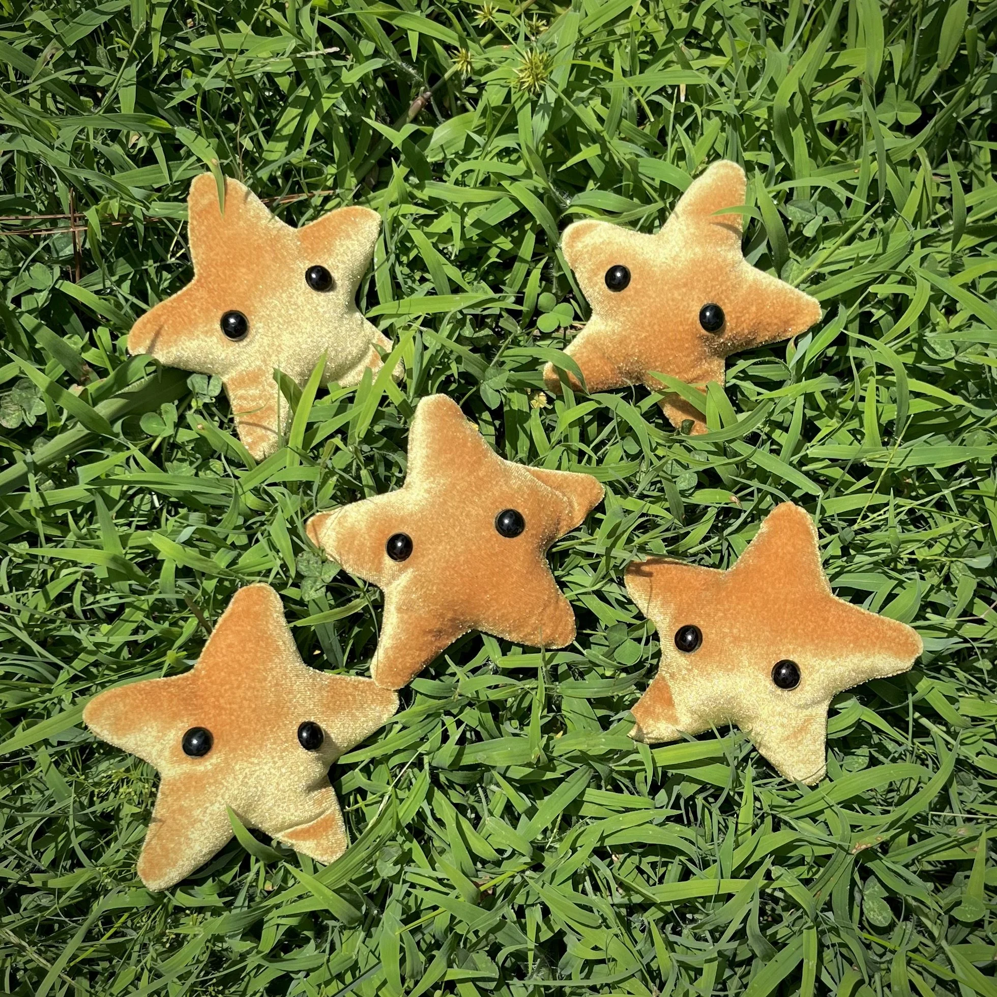 Star Plushie
