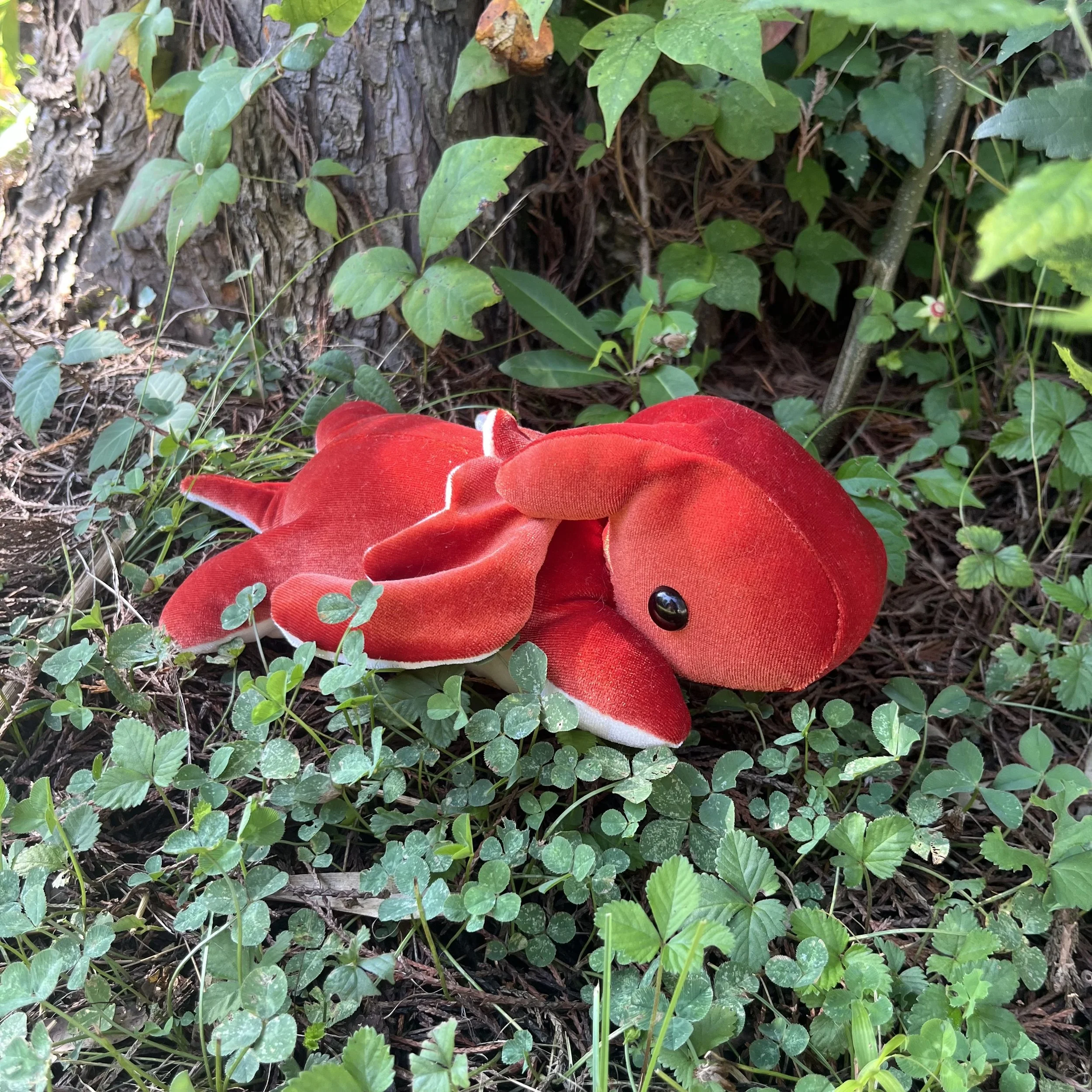 Red Dragon Plushie