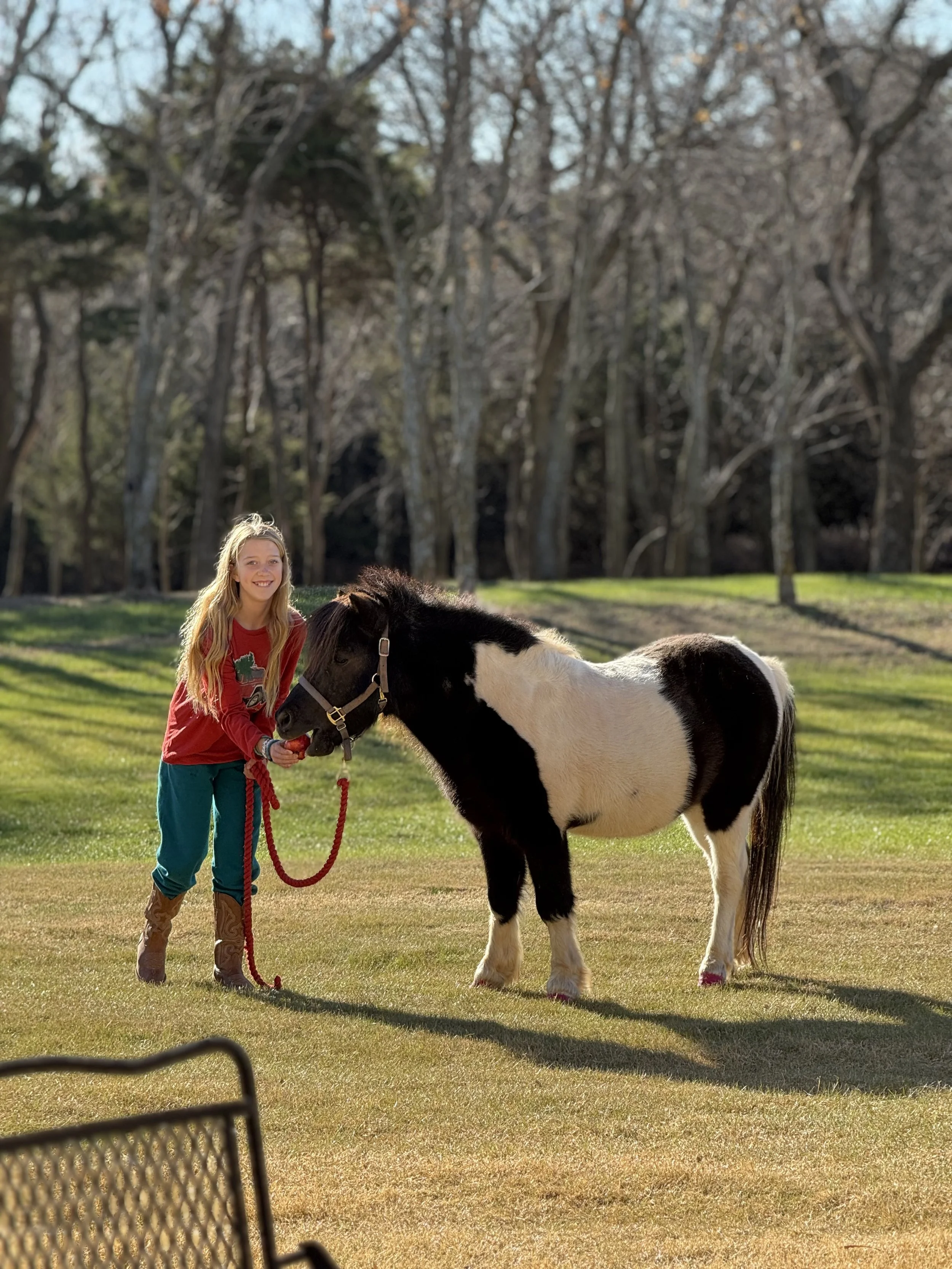 okie pony.jpeg