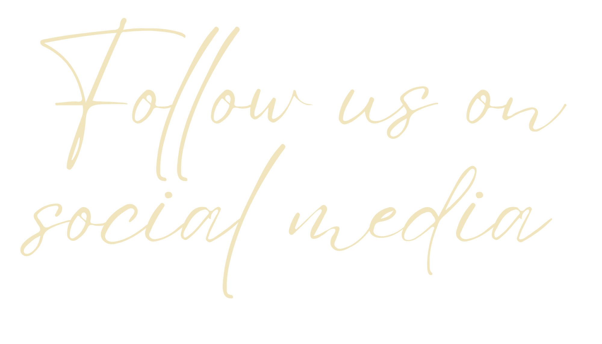Text saying 'Follow us on social media' in beige handwritten script on black background.