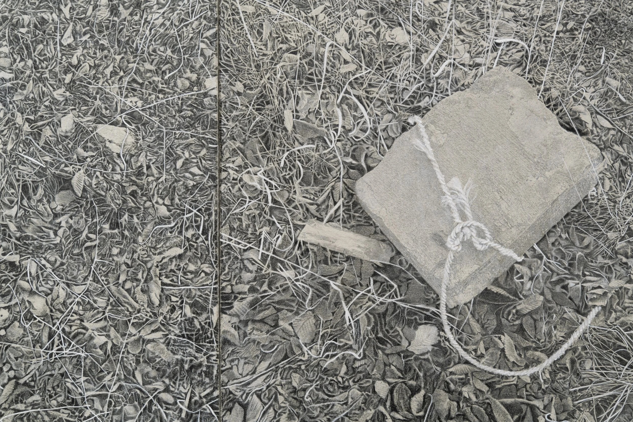 detail of "the source of one’s crises and the site of one’s wound," colored pencil, gouache, grease marker, lithography; 2024, photo by Alex Boeschenstein