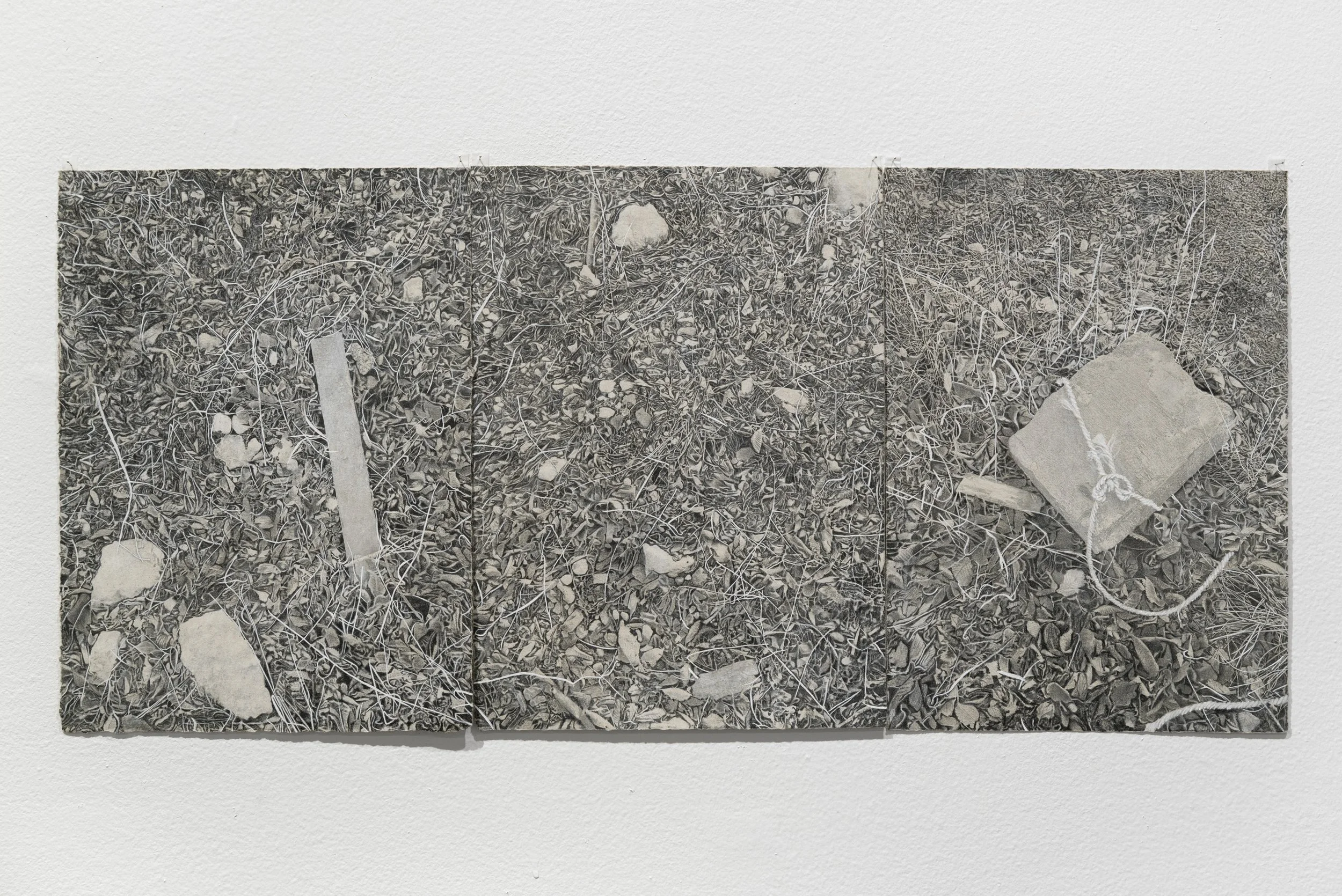 "the source of one’s crises and the site of one’s wound," colored pencil, gouache, grease marker, lithography; 2024, photo by Alex Boeschenstein