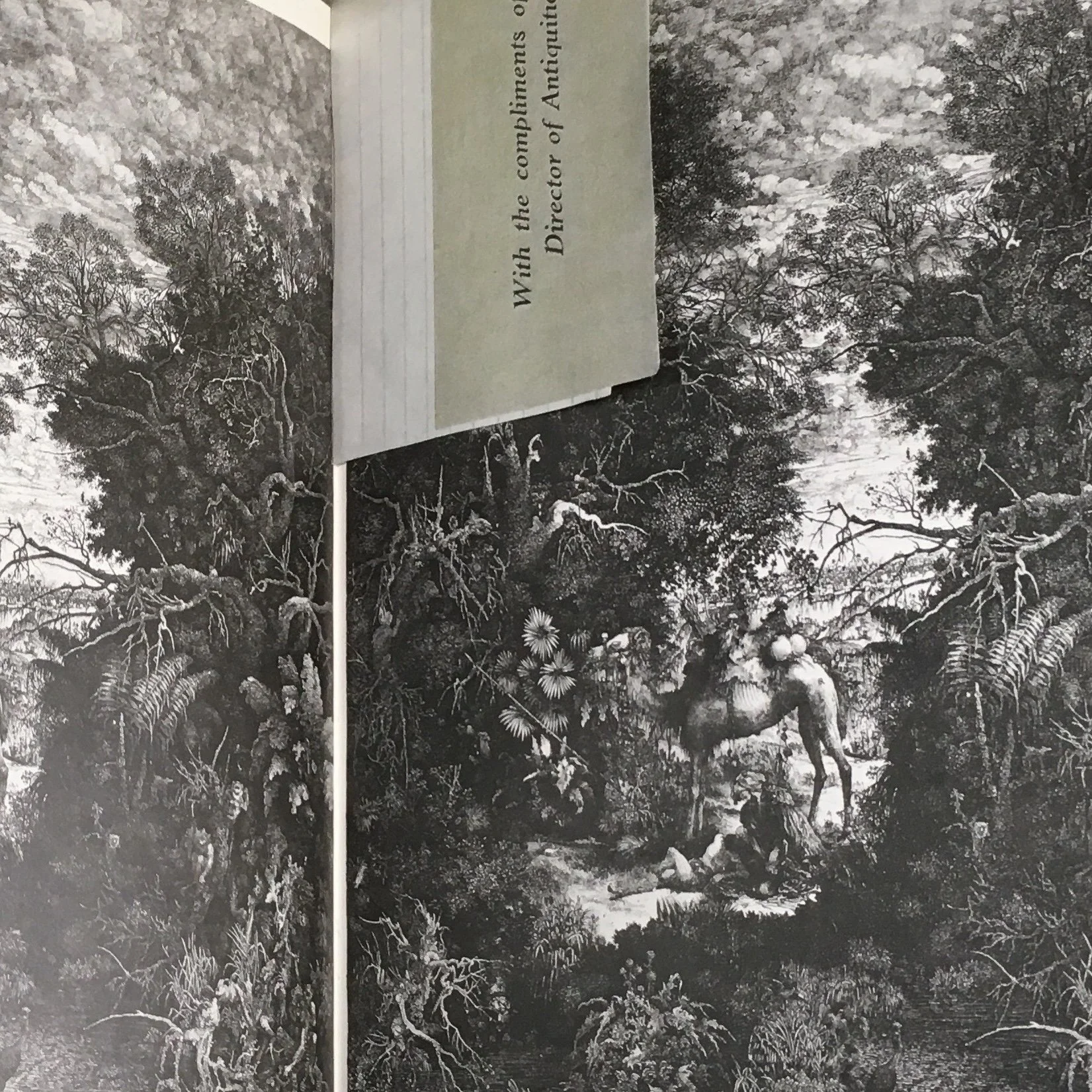 Selections from the A.C. Rutherford Ephemera Collection (2017-2020)