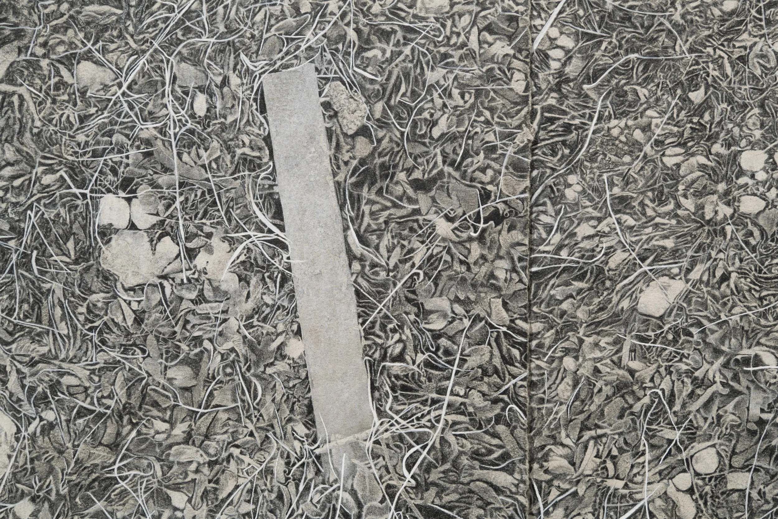 detail of "the source of one’s crises and the site of one’s wound," colored pencil, gouache, grease marker, lithography; 2024, photo by Alex Boeschenstein