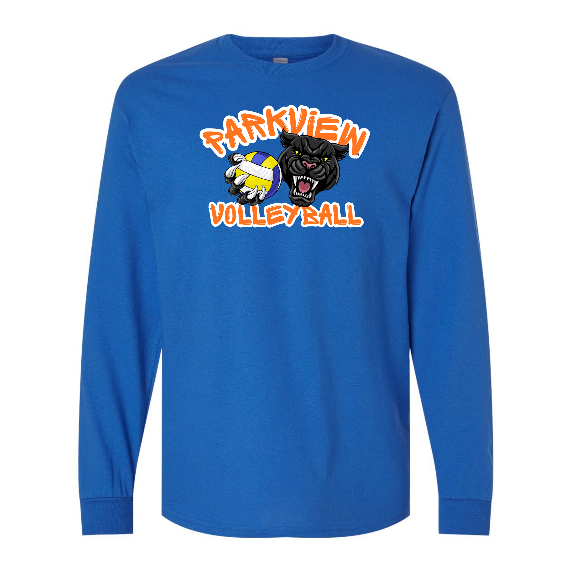 volleyball blue ls.png