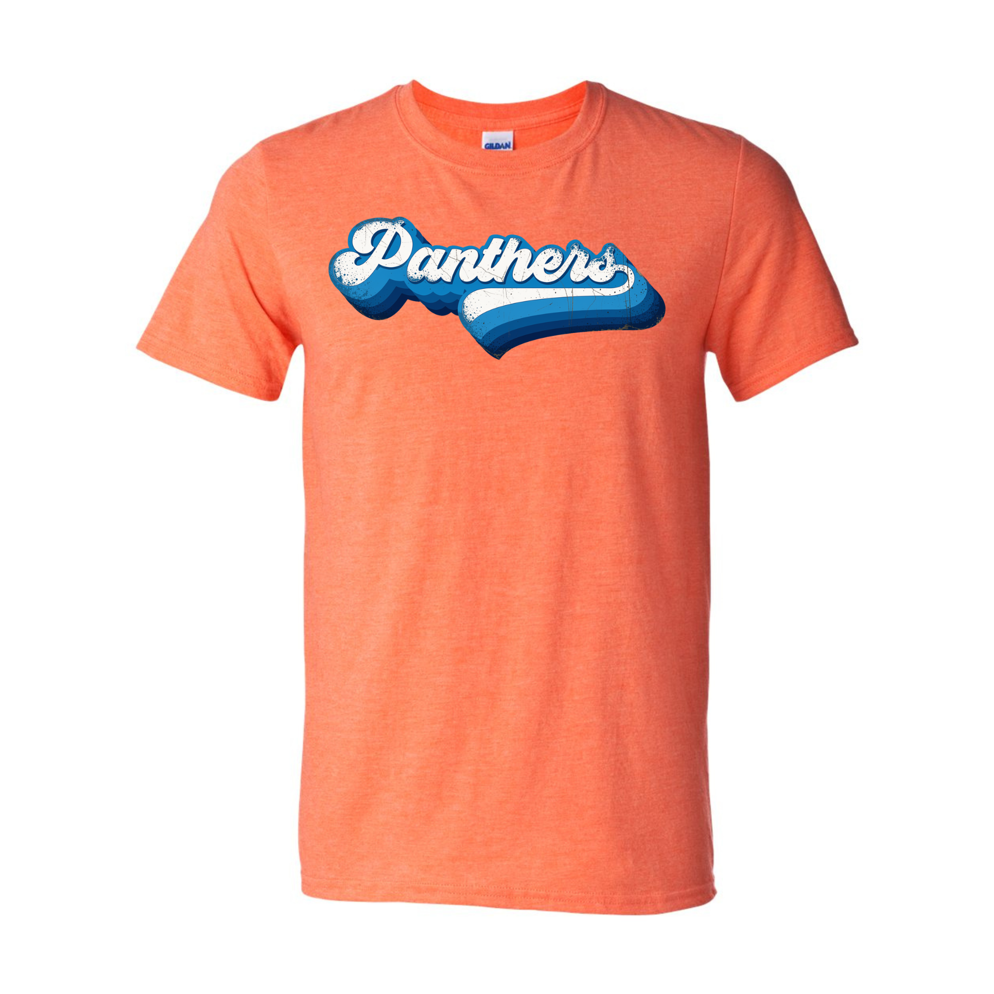 Throwback Panthers Spirit