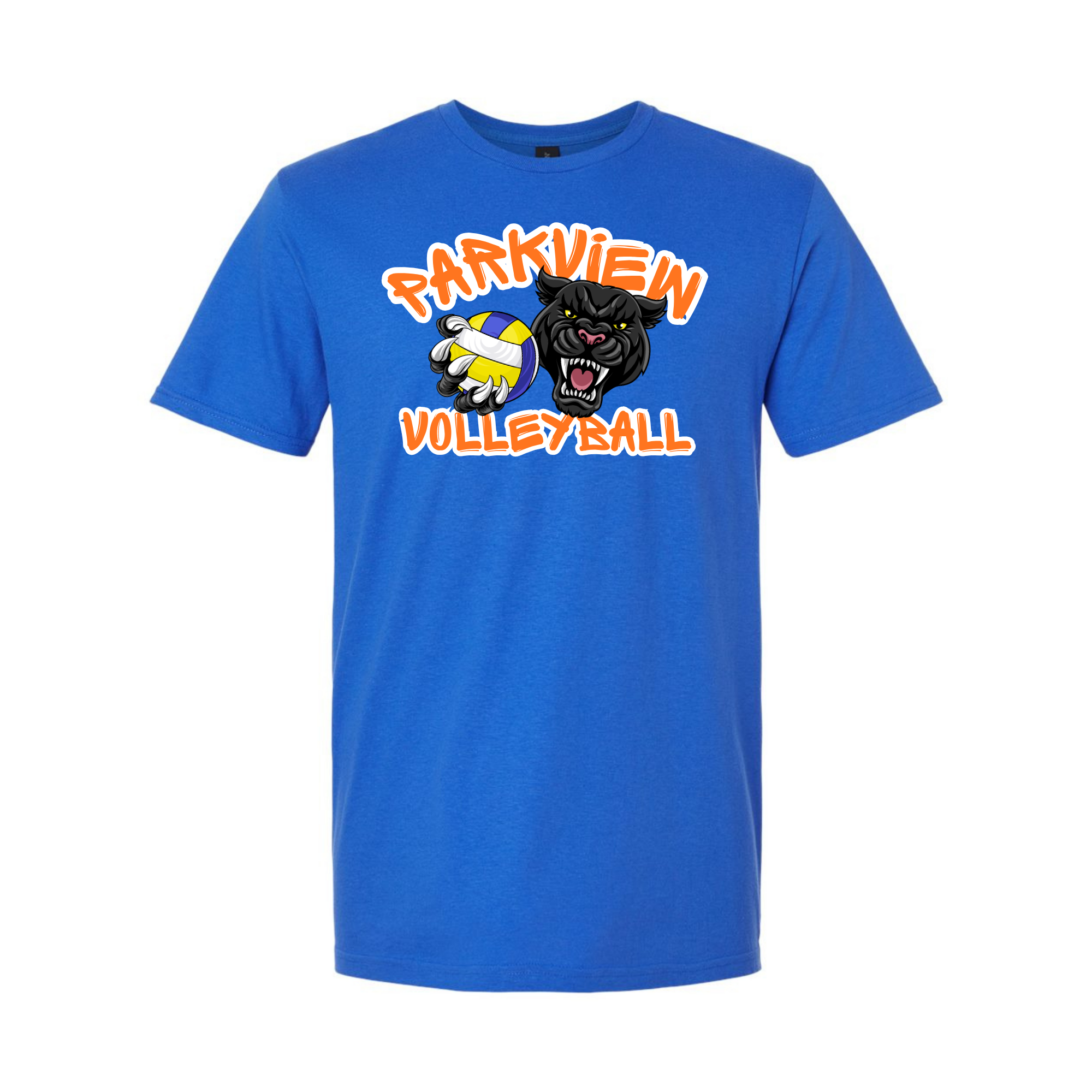 volleyball blue ss.png