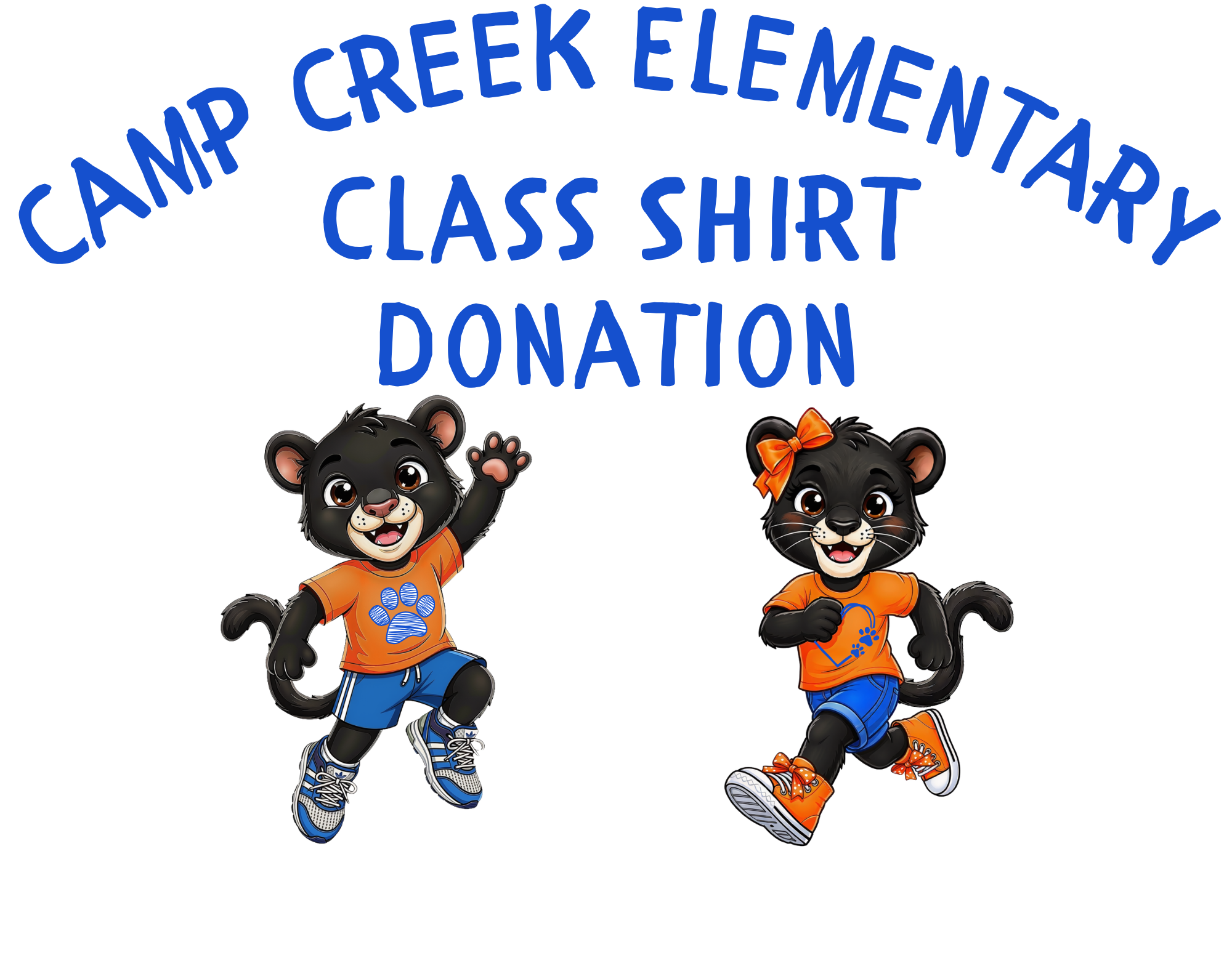 Donate a Class Shirt