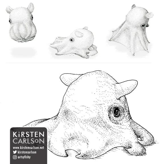 Flapjack Octopus   Pen & Ink