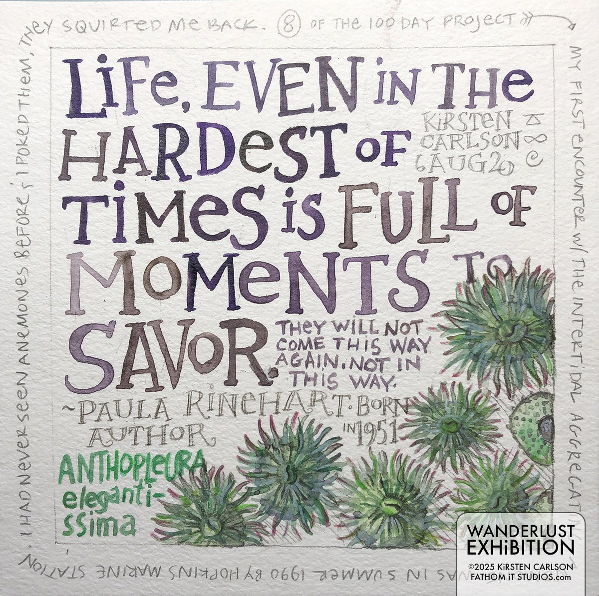 A Quotable Anemone Aggregation (Copy)