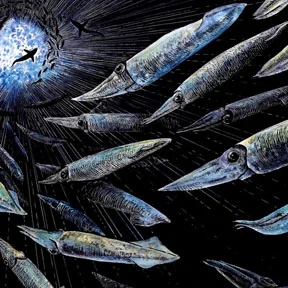 SCiENTiFiC iLLUSTRATiON