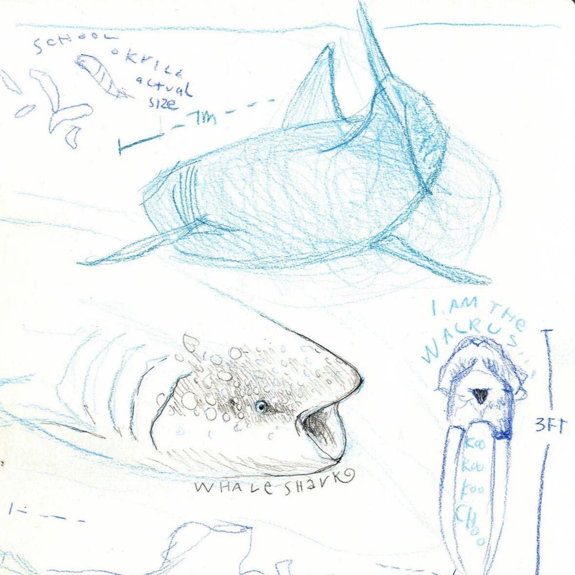 SKETCHBOOK