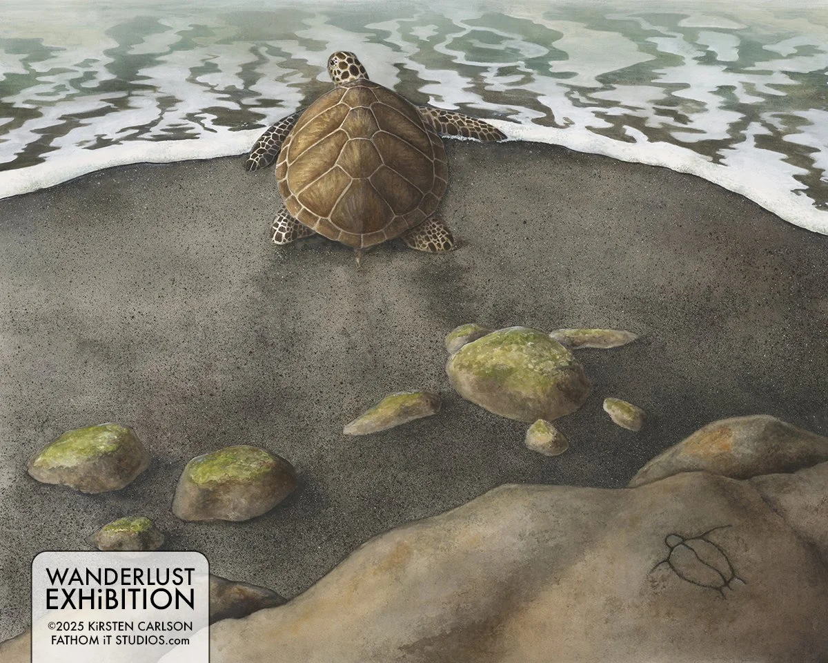 Honu³ (Copy)