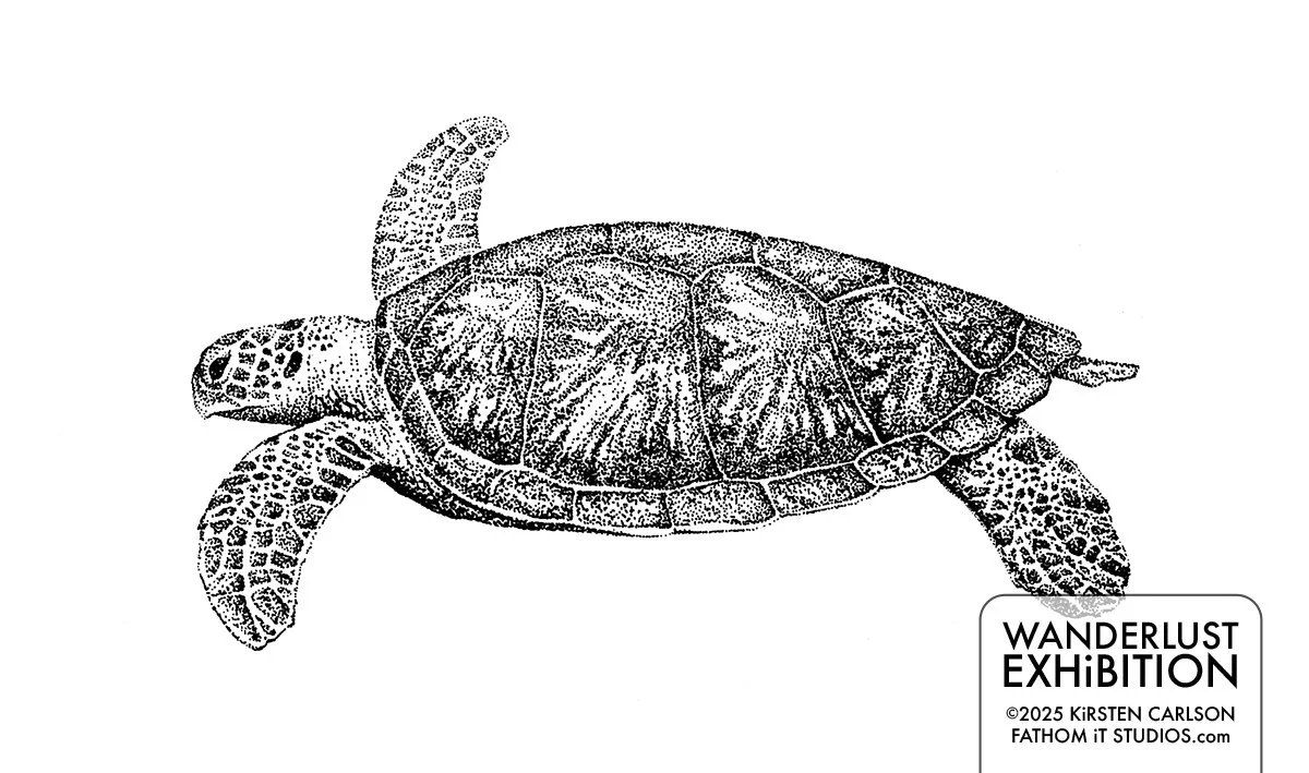 Stippled Sea Turtle (Copy)