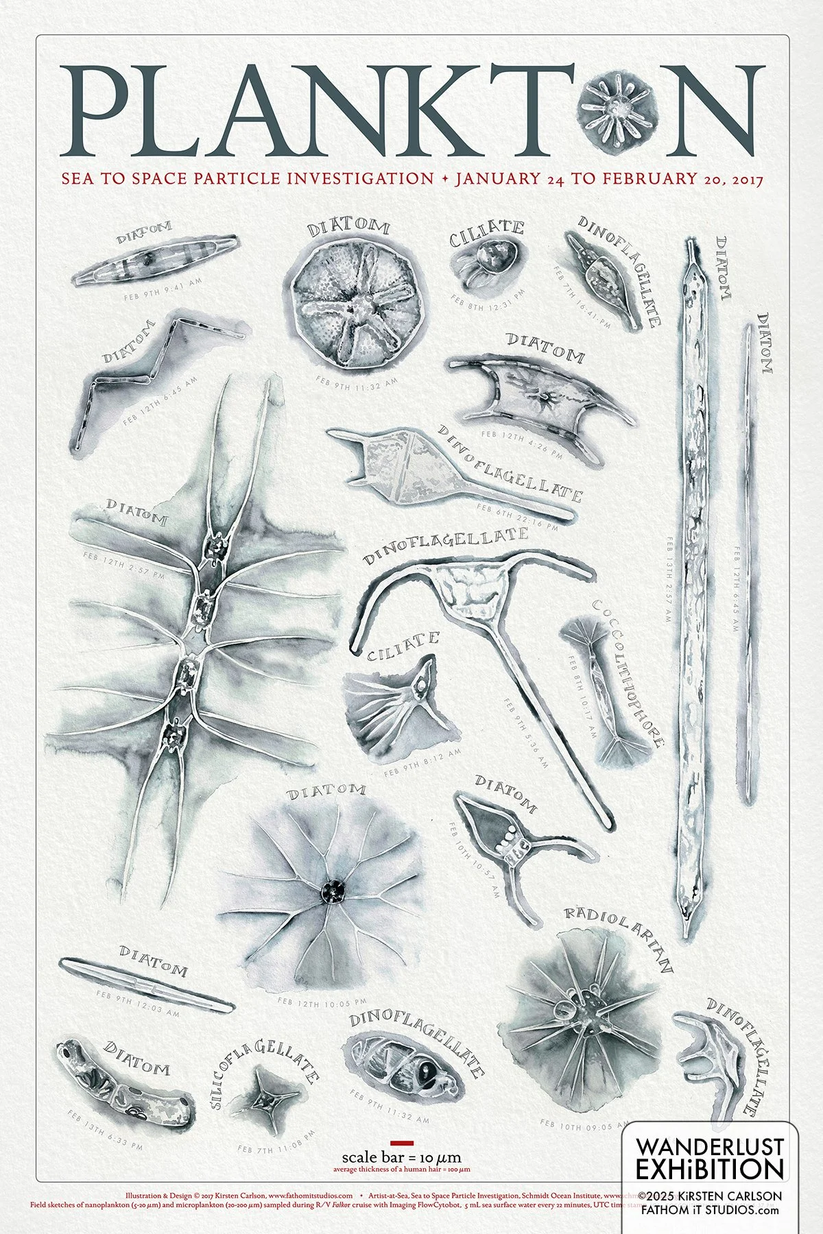 <i>In Situ</I> Plankton, Hawaii to Oregon (Copy)