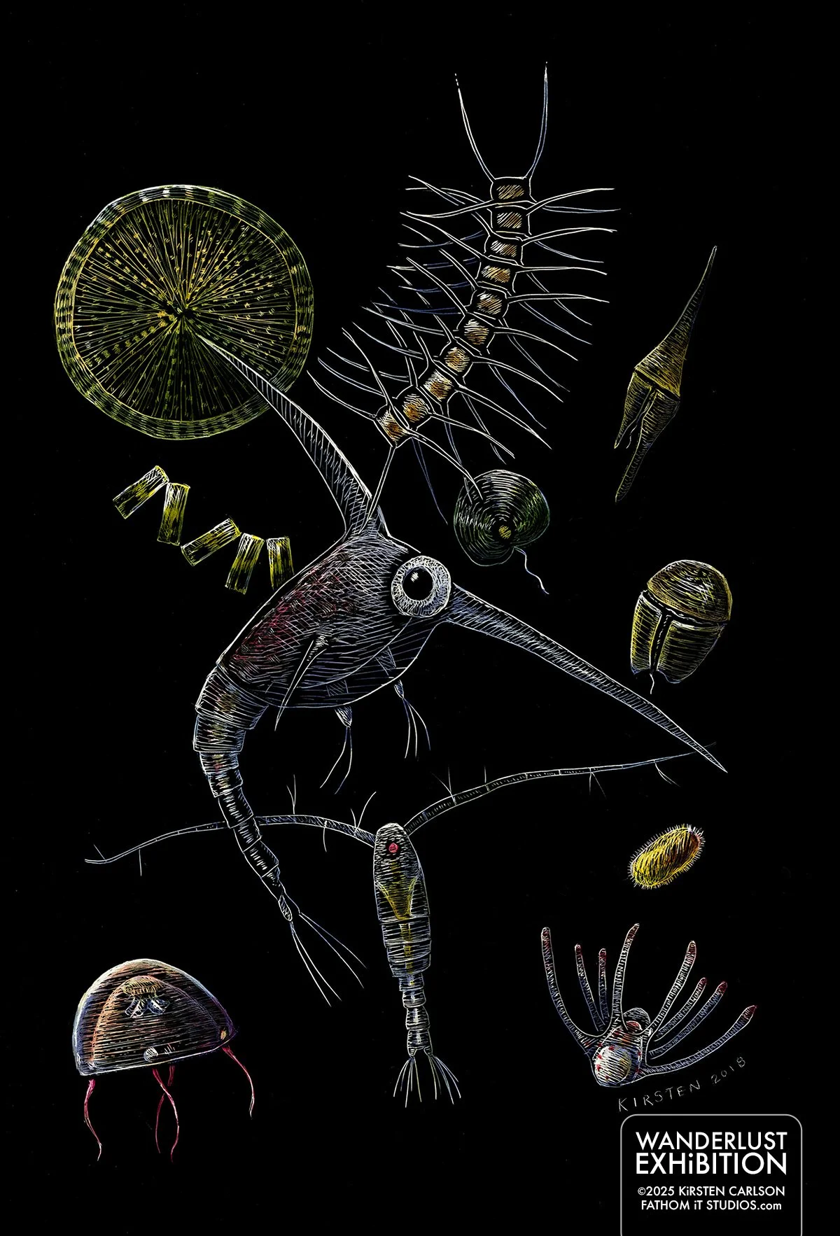 A Drift of Plankton (Copy)