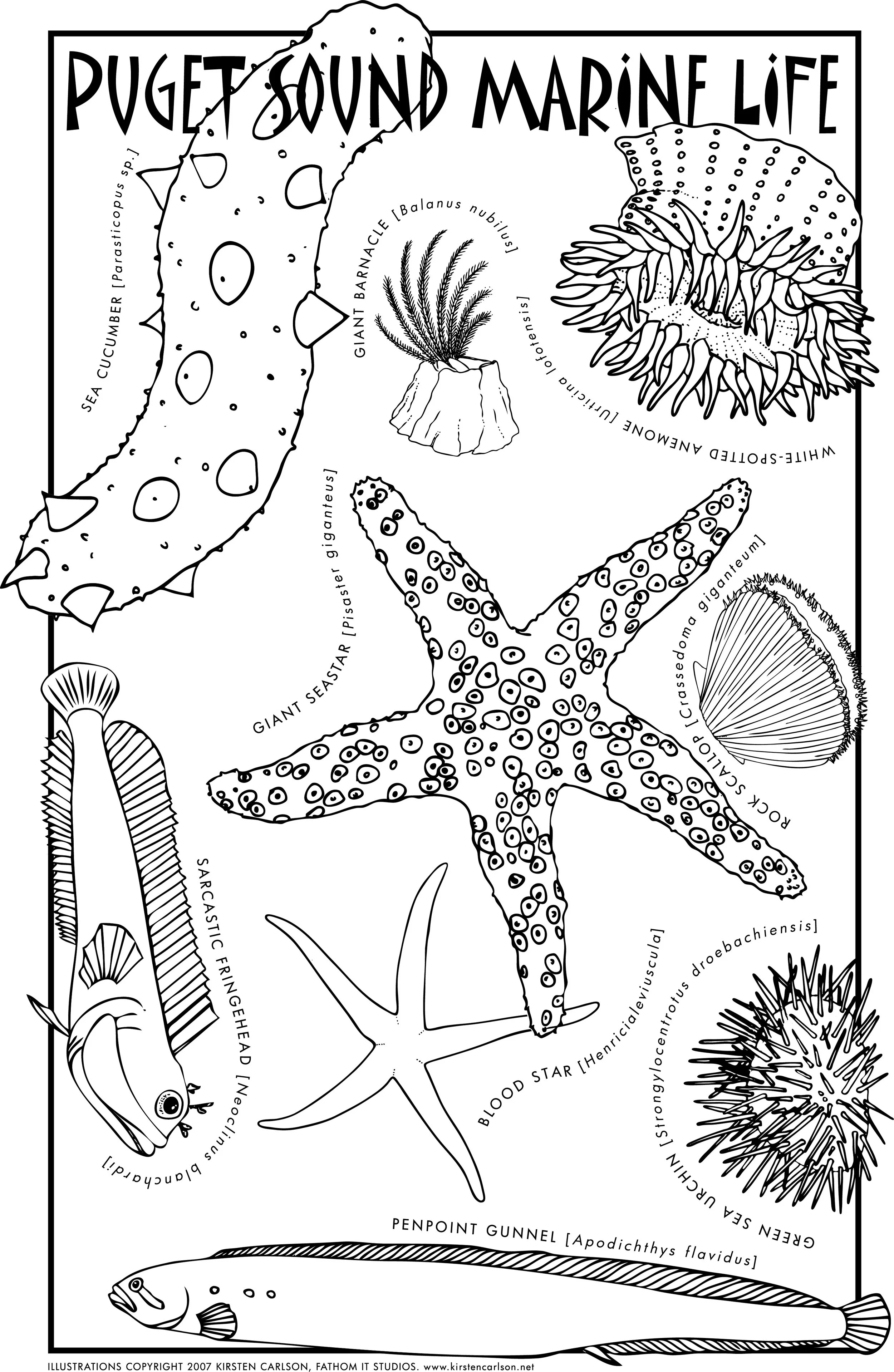 colorsheet for poulsbo.jpg