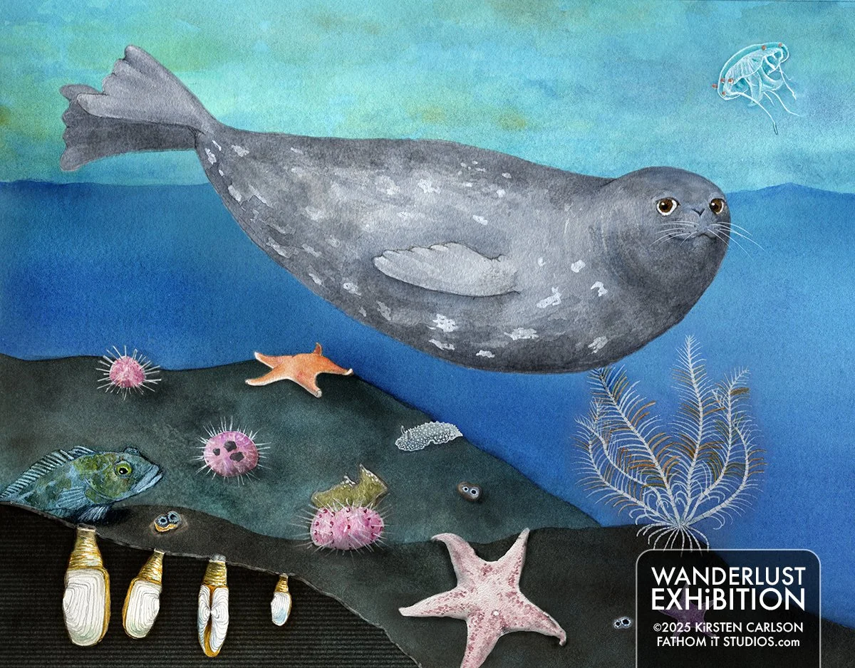 Drawing Under Ice: Exploring Sea Life In Antarctica as a Scientist and Artist  (Copy)