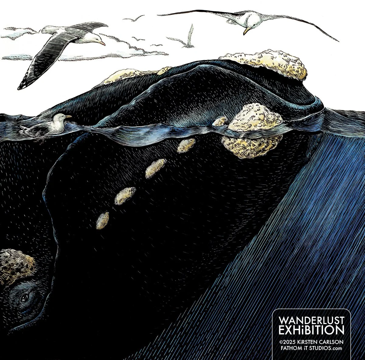 Thriving Seabird and Threatened Whale (Copy)