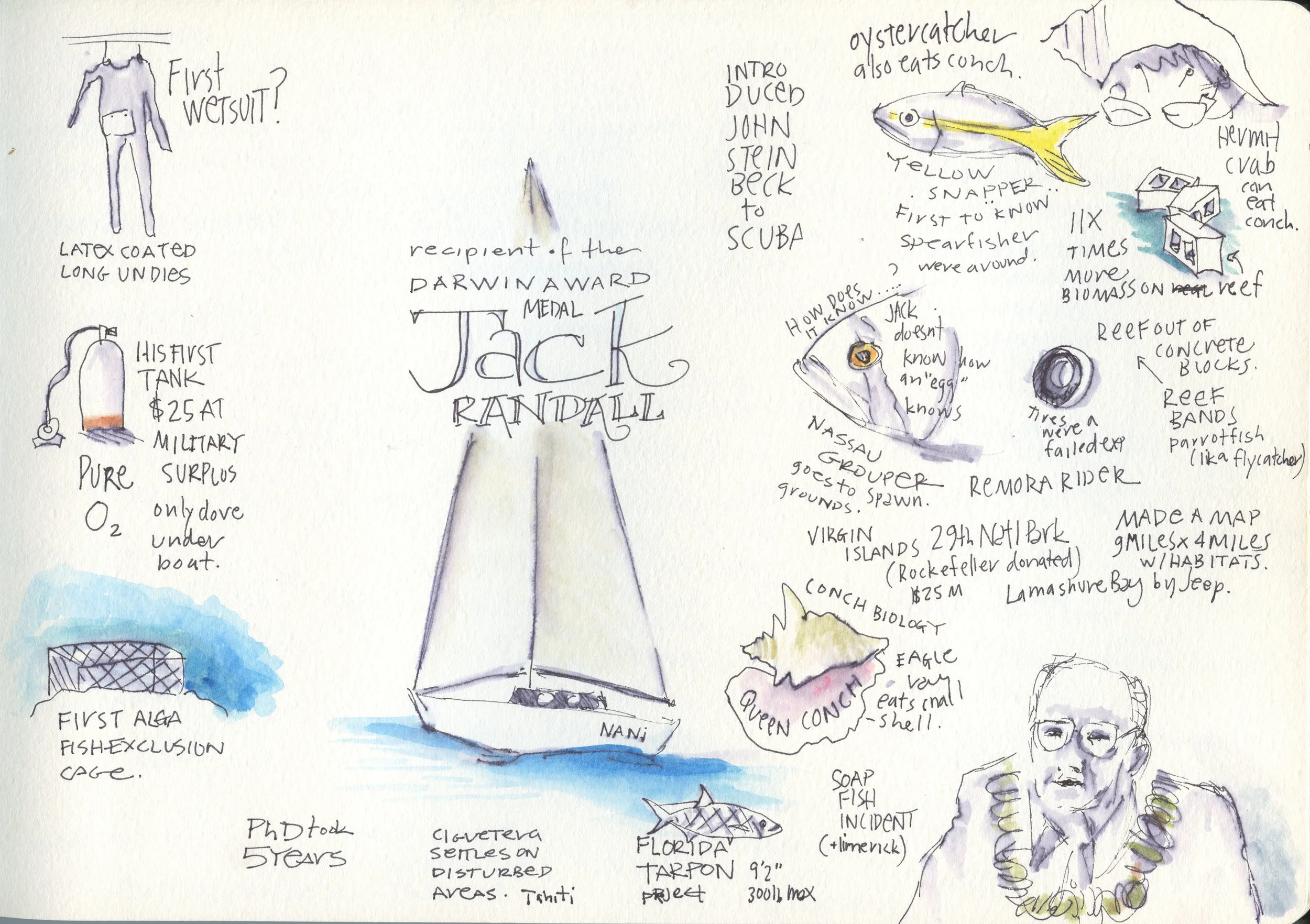 Sketch book notes from the 2016 Darwin Medal Award presentation by Dr. Jack Randall. For more information about him at the Bishop Museum visit