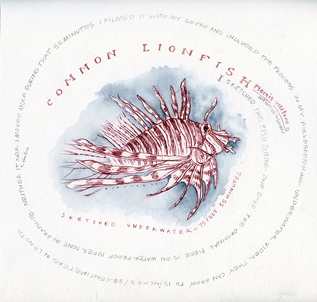 lionfish lowrez.jpg
