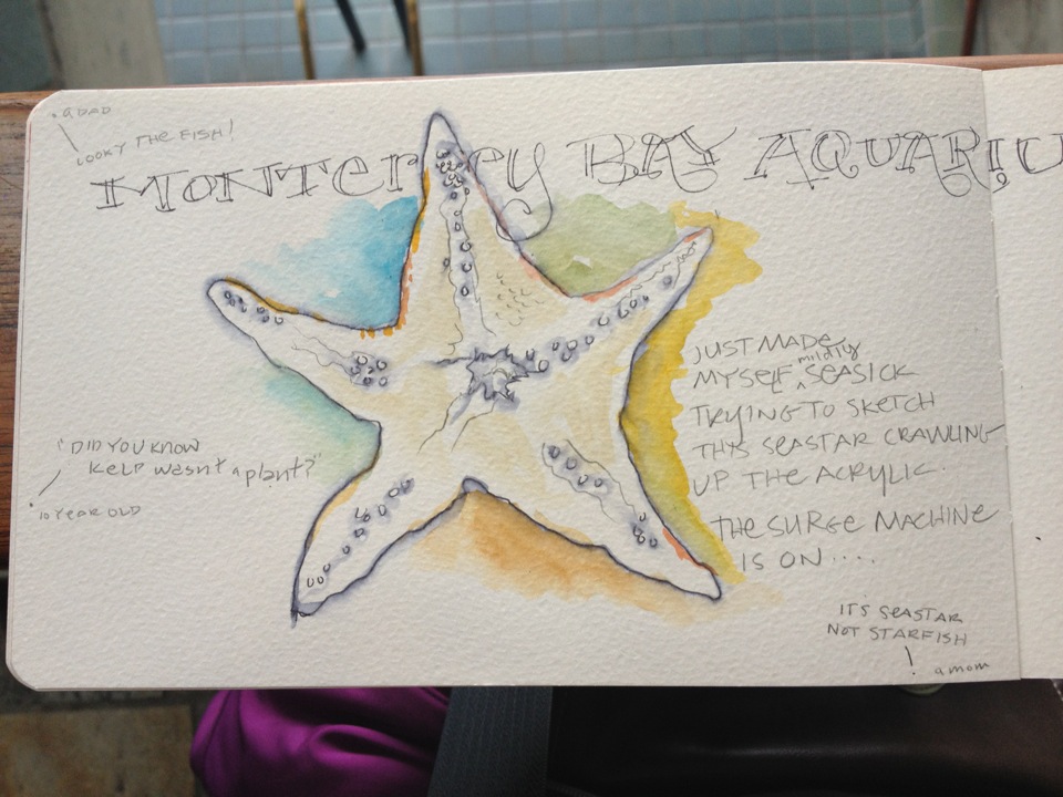 Sketching &amp; Writing in Monterey