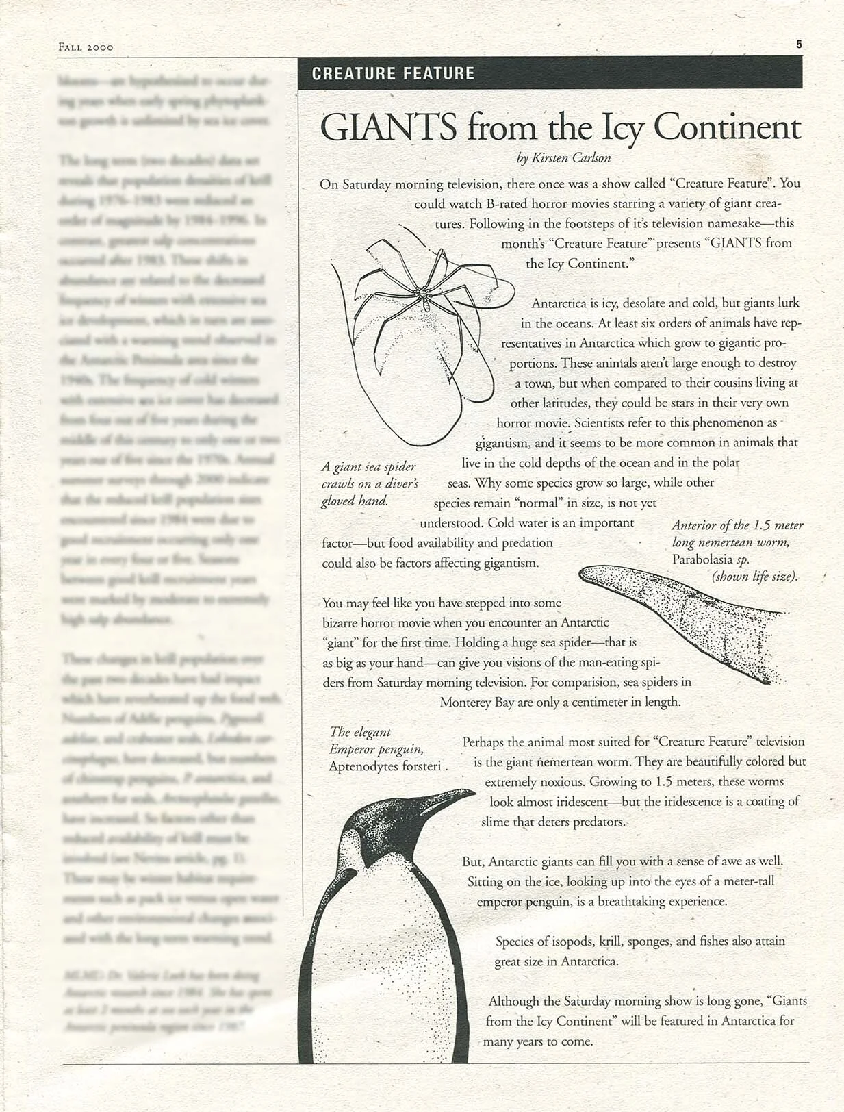 scan of WAVE article.jpg